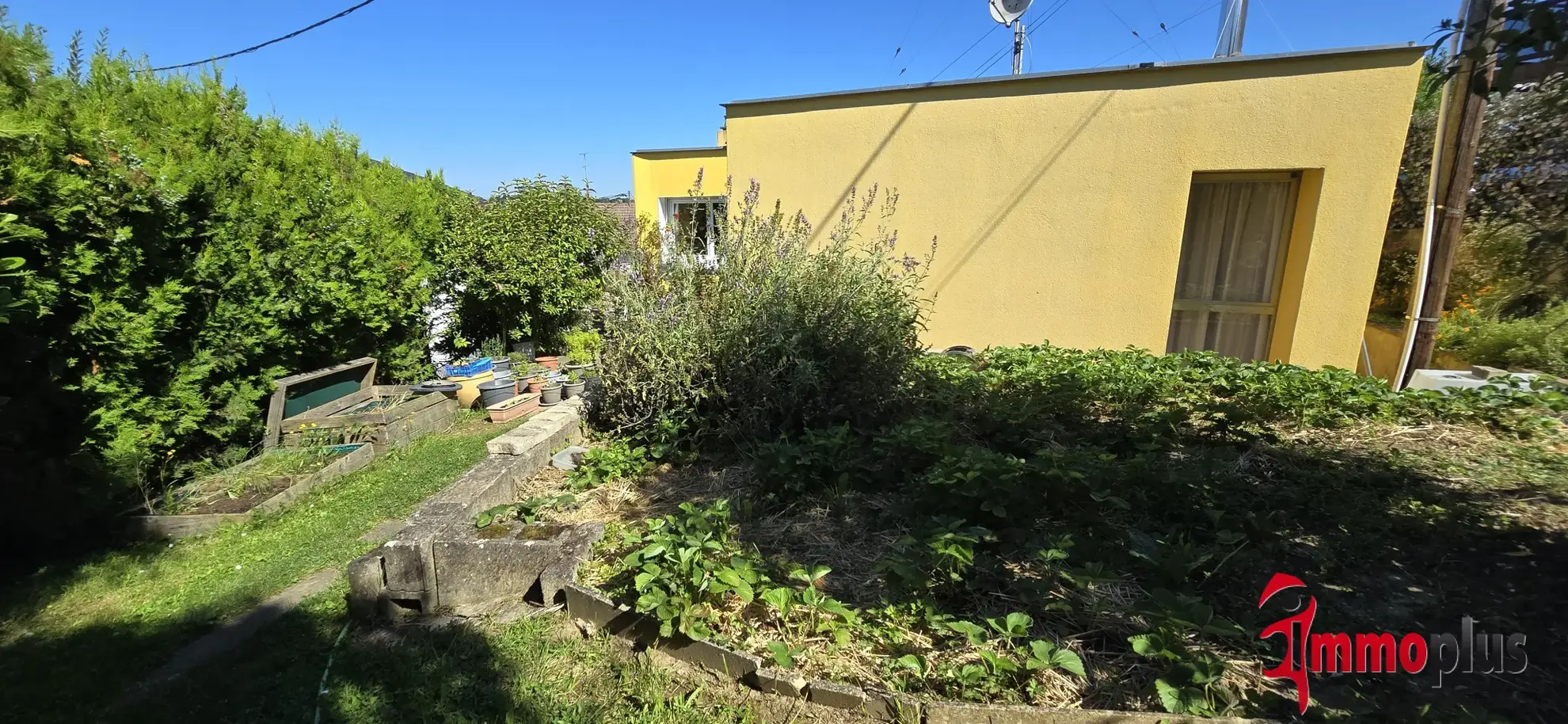 Charmante maison de plain-pied de 98 m² avec jardin à Michelbach-le-Haut 