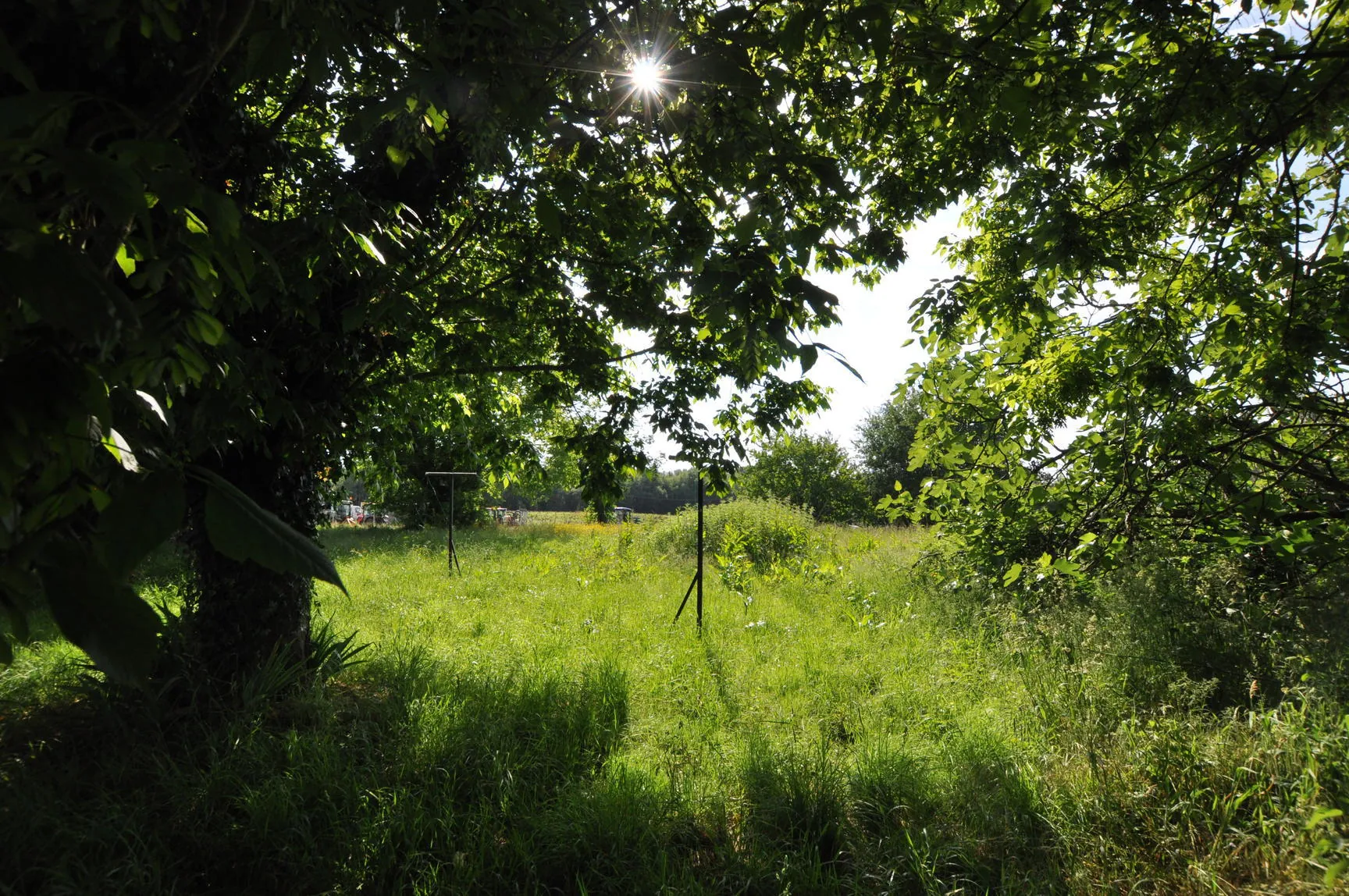 Maison de plain-pied à Capian de 101 m² avec dépendance et grand terrain 