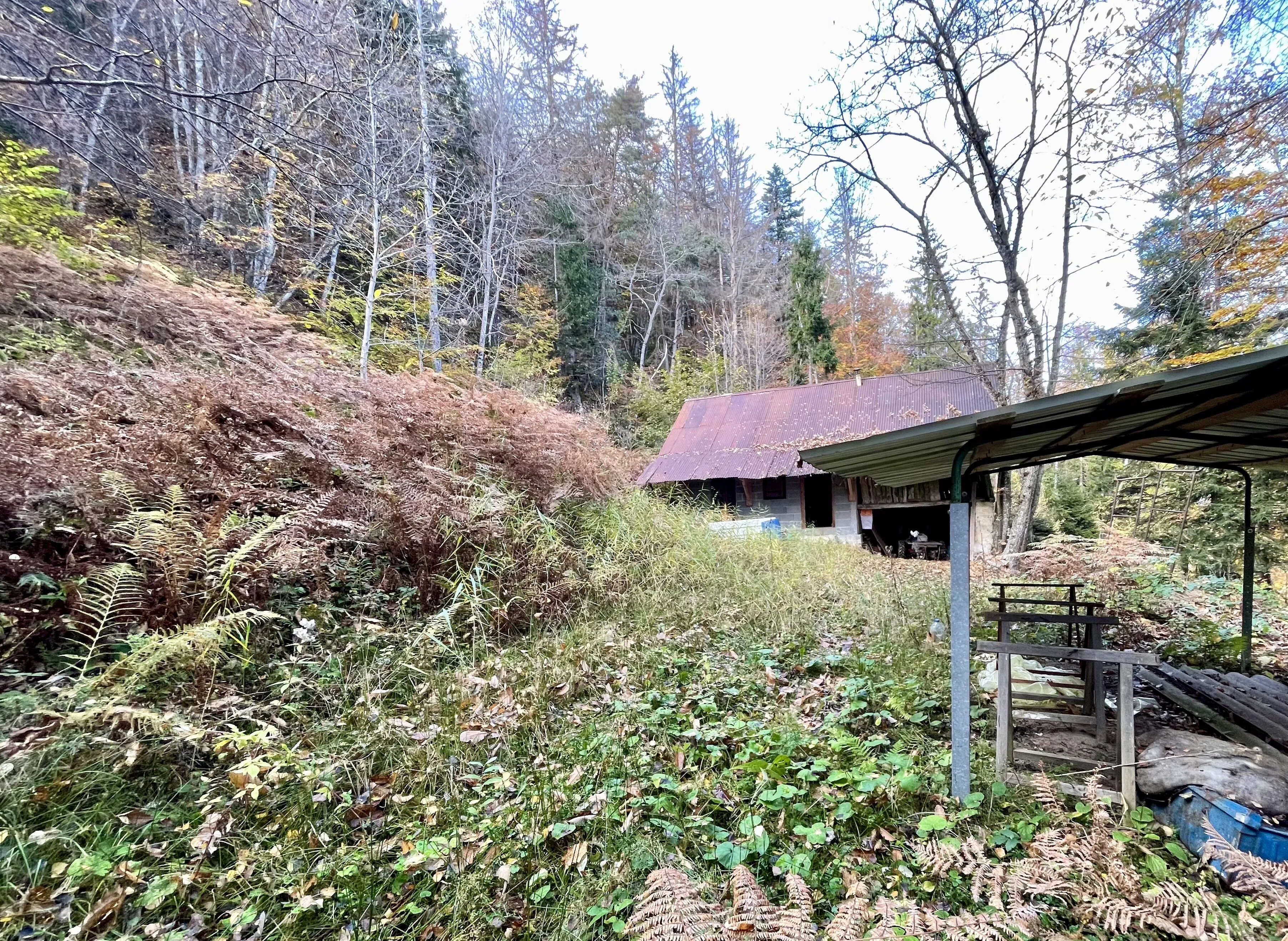 Etable aménagée en forêt à vendre à Duingt, terrain de 1642 m² 