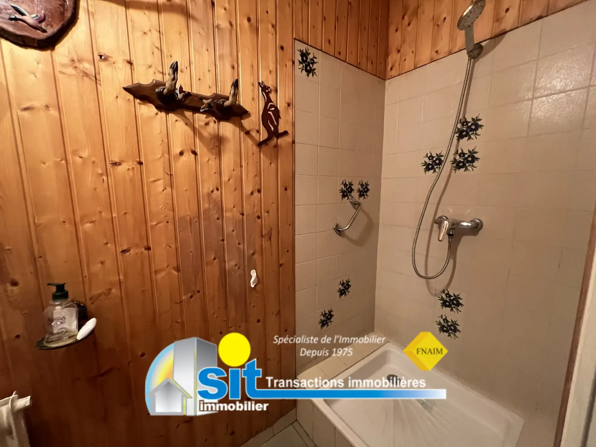 Achat Appartement T4 avec Terrasse et Garage à Vienne, Proche Gare 