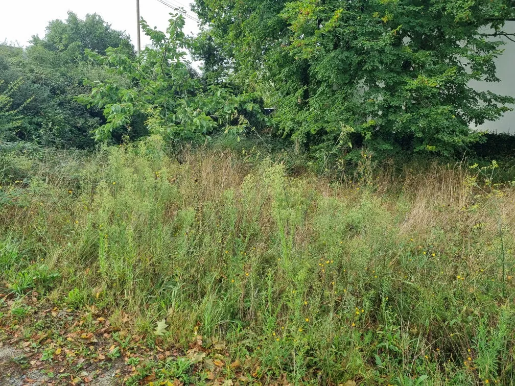 Terrain à bâtir de 747 m² sur les hauteurs de La Baule, étude de sol réalisée