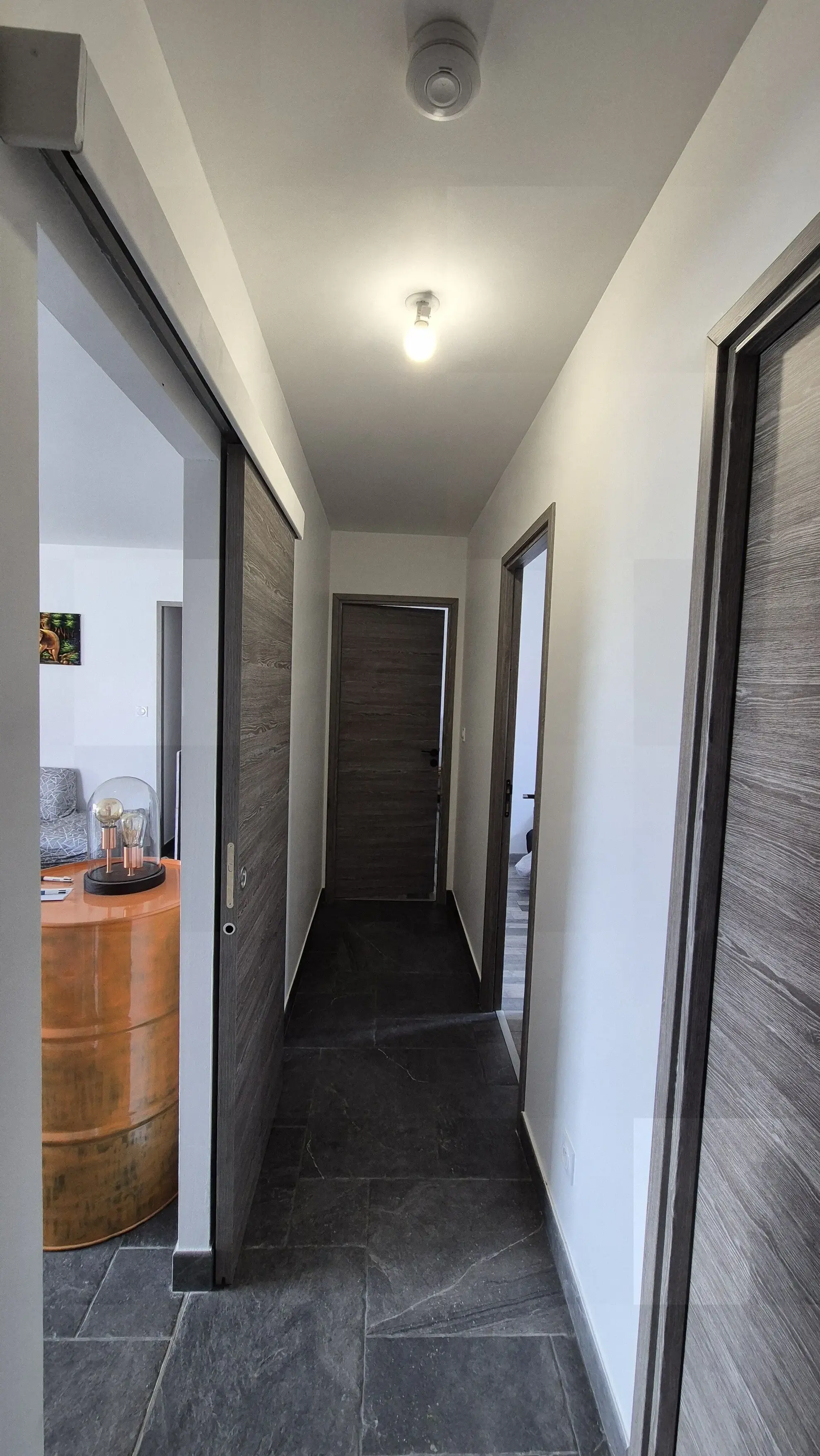 Maison neuve à vendre à Roanne en bord de Loire avec terrasse et garage 