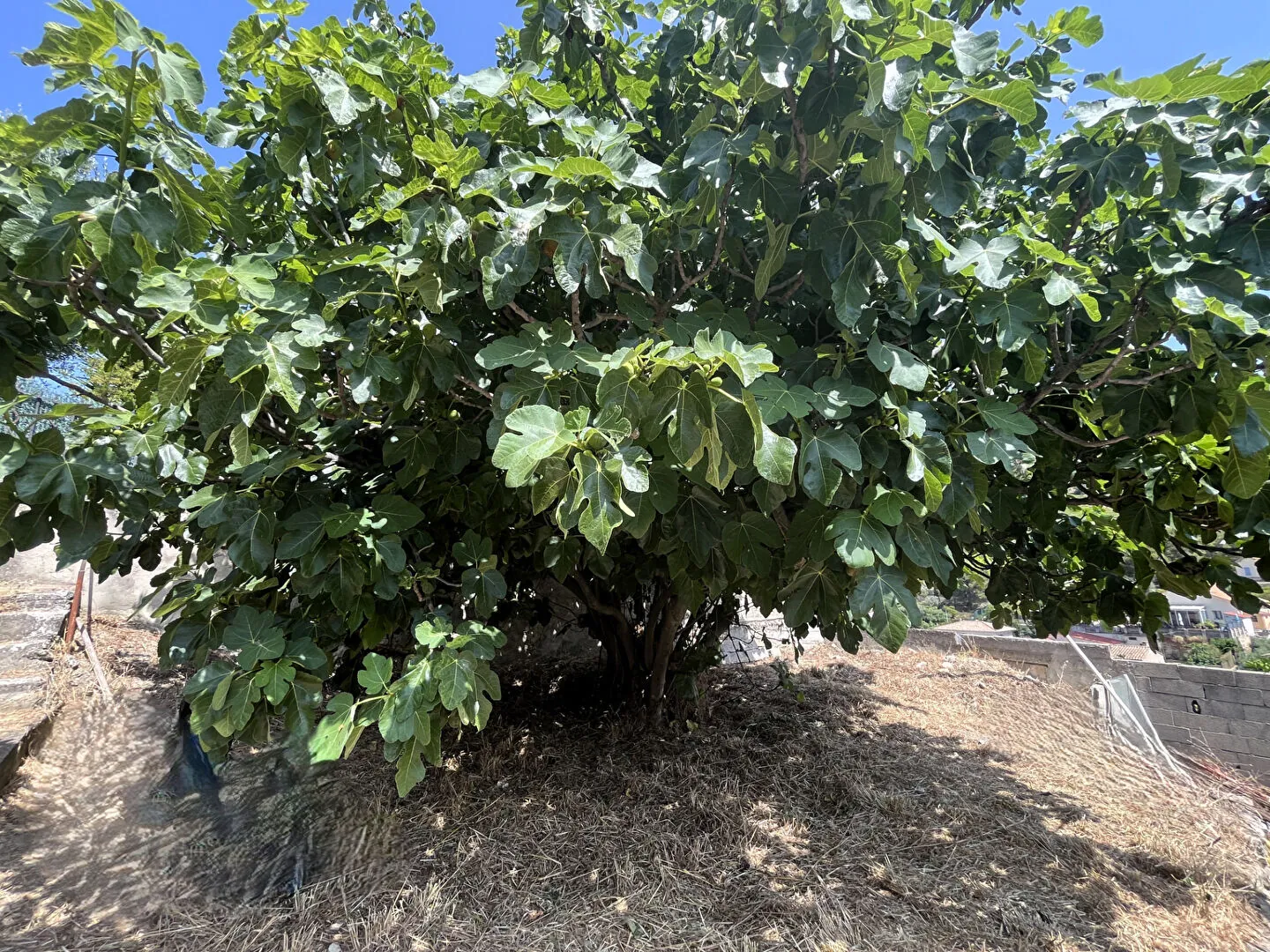 Maison à rénover de 72 m² à Septèmes Les Vallons avec dépendance et grand parking 