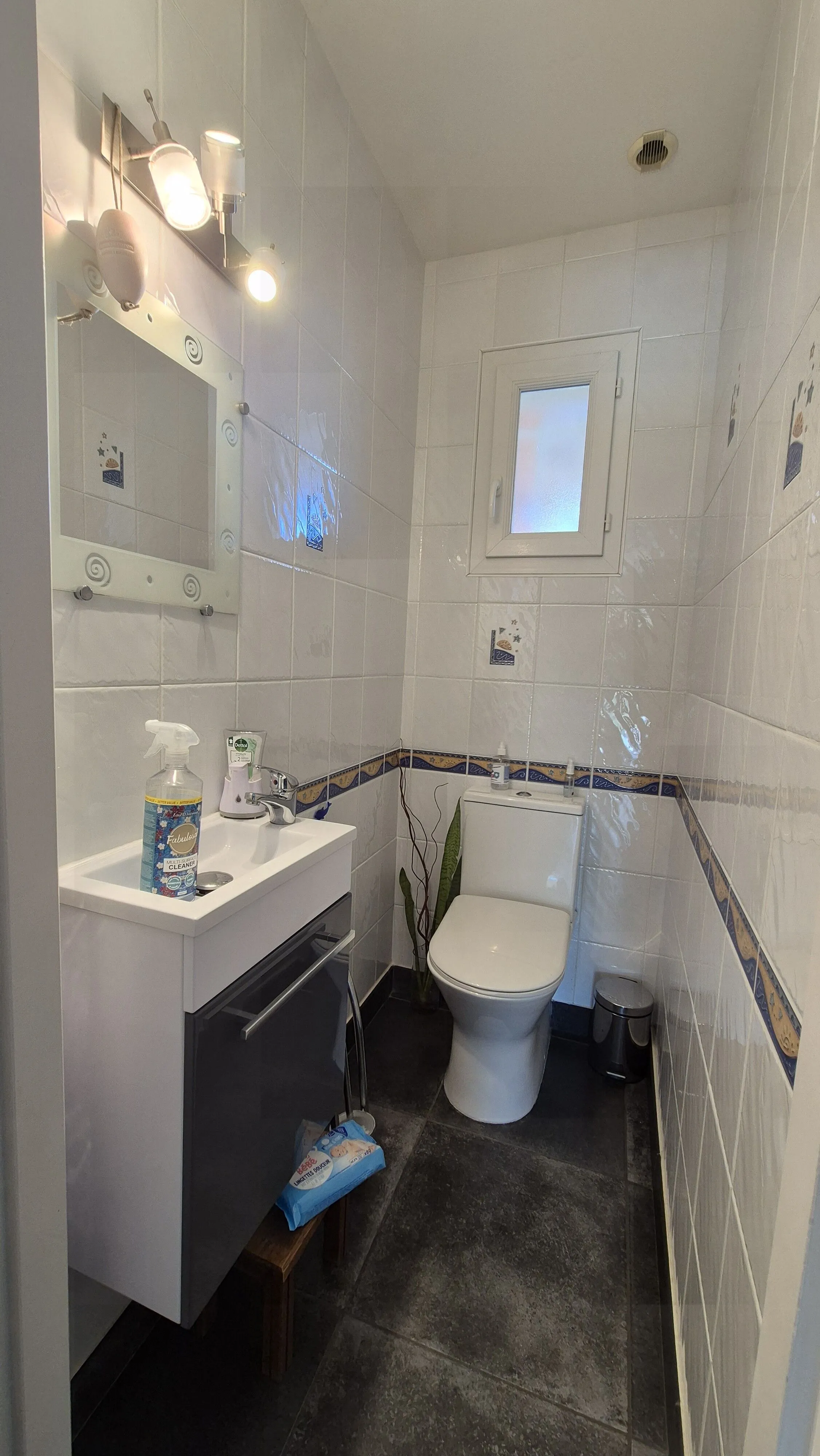 Maison individuelle à Saint Yan avec potentiel, piscine et chauffage géothermique 