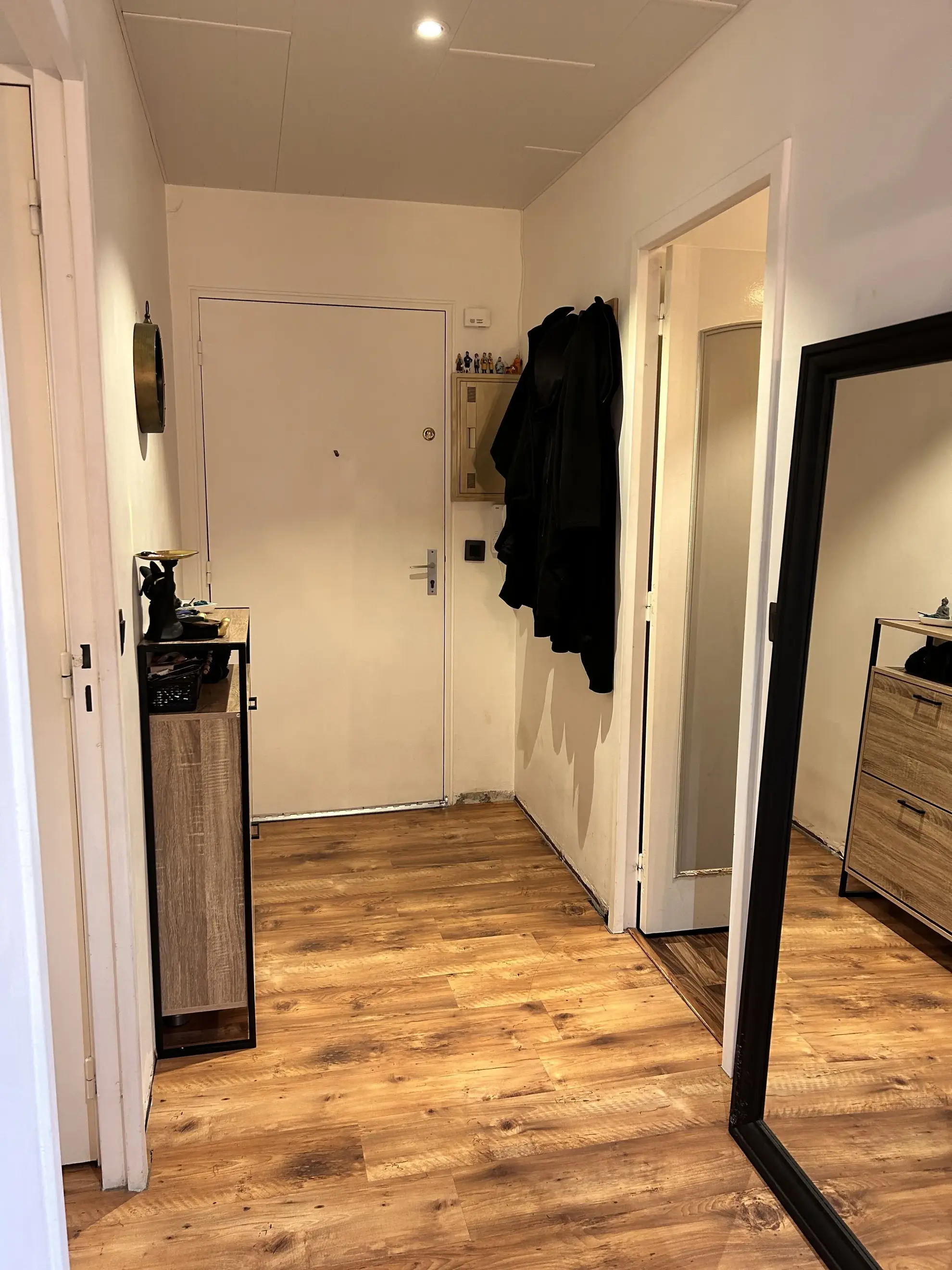 Appartement 2 pièces rénové à Montigny-le-Bretonneux avec cave et parking 