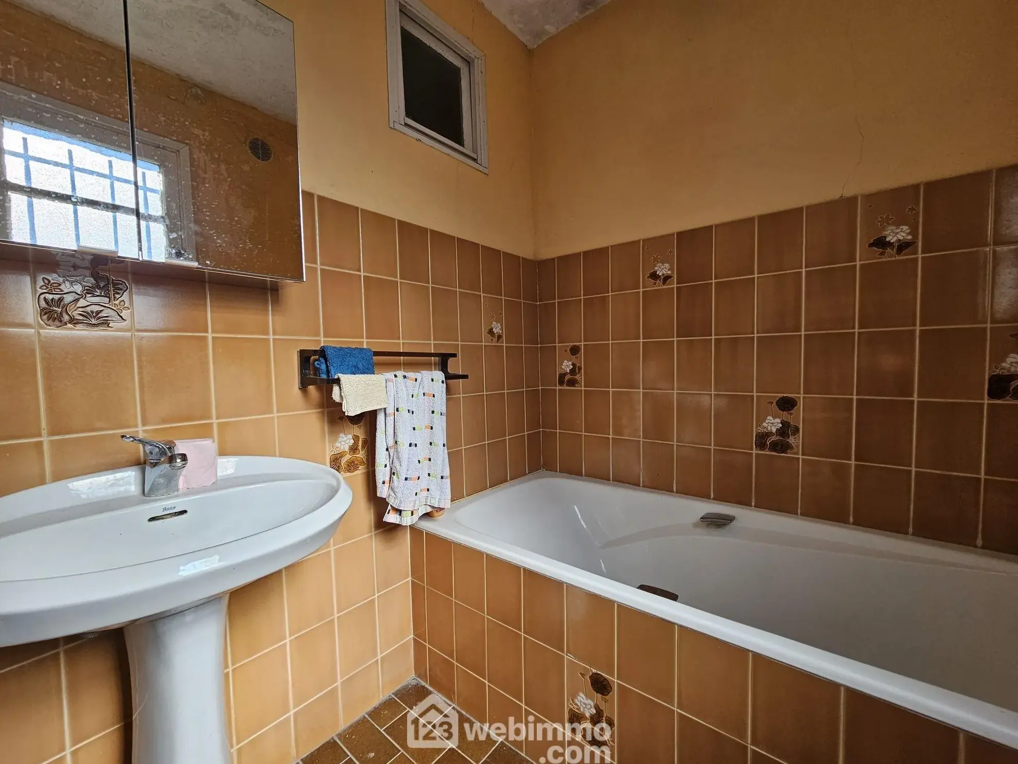 Charmante maison ancienne avec terrain constructible à Baliros, vue Pyrénées 