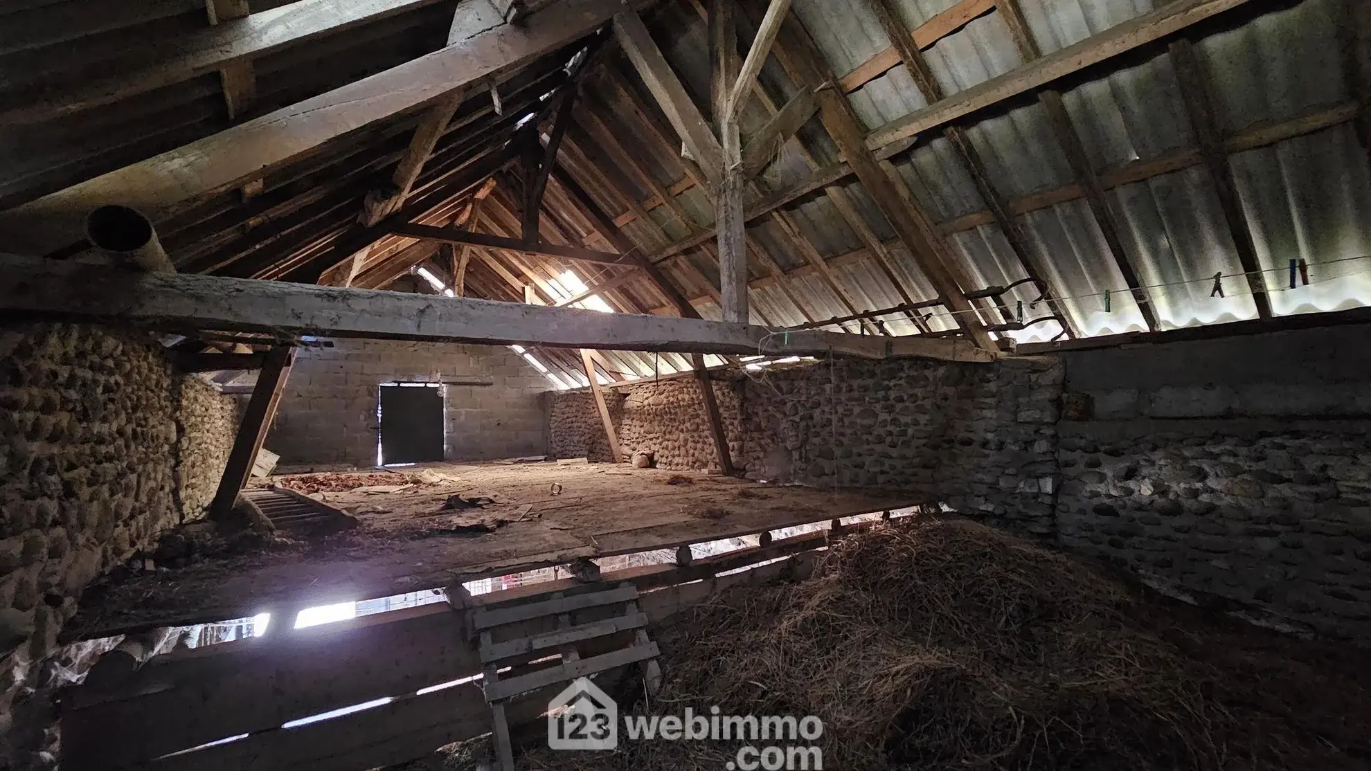 Charmante maison ancienne avec terrain constructible à Baliros, vue Pyrénées 