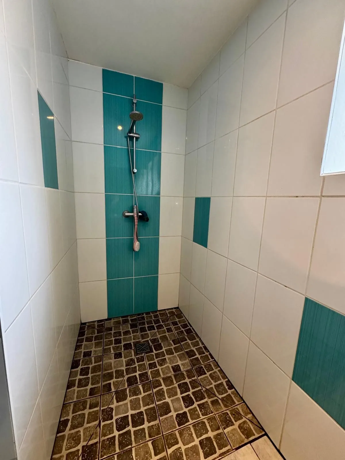 Maison de campagne à vendre à Marcigny - 2 chambres, jardin et dépendances 