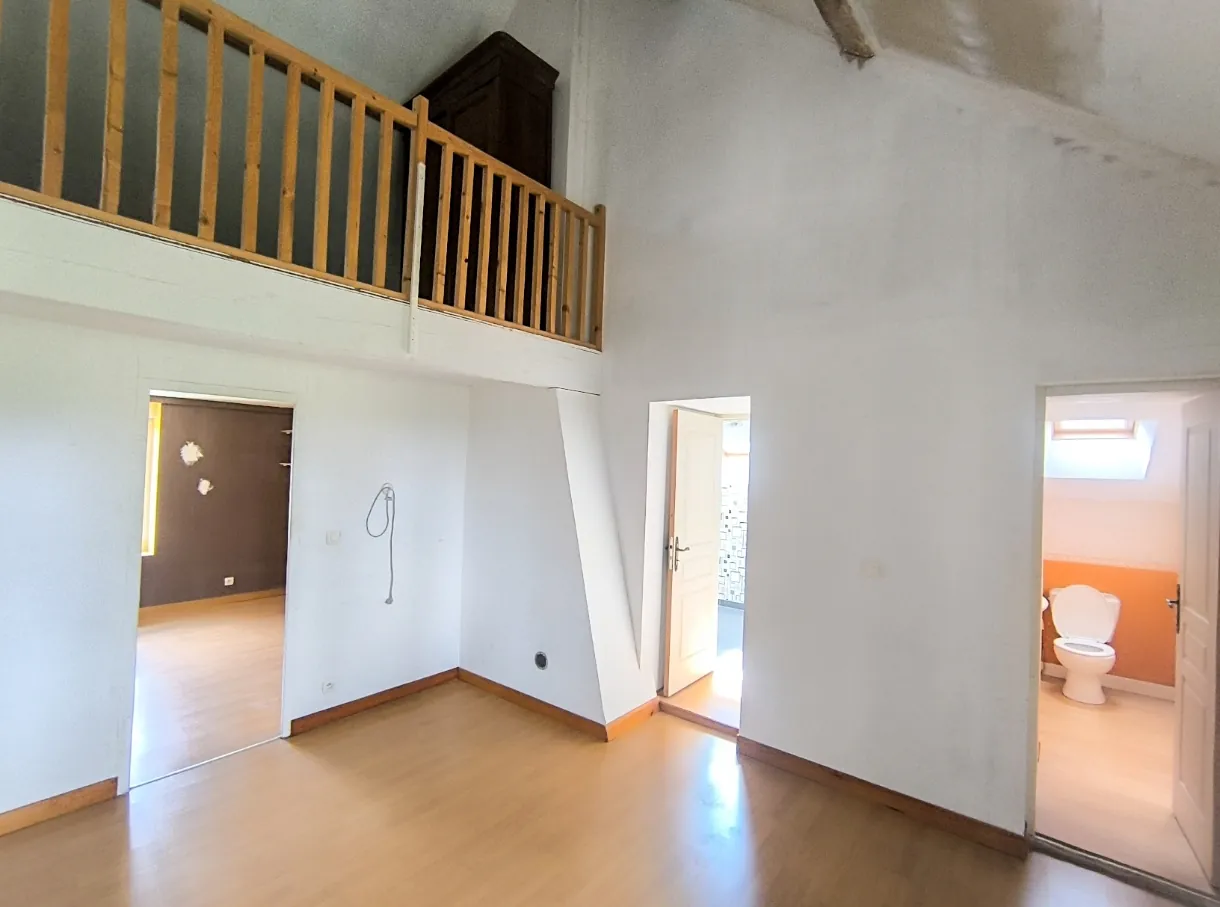 Maison en pierre à vendre à Chézy-sur-Marne avec potentiel et grand jardin 