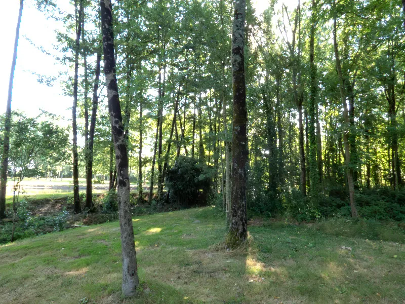 Terrain de 13 512 m² avec étangs, prairie et forêt à Nieul-le-Dolent 