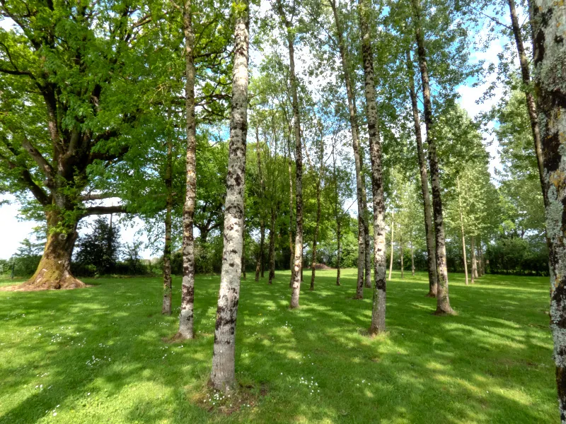 Terrain de 13 512 m² avec étangs, prairie et forêt à Nieul-le-Dolent 