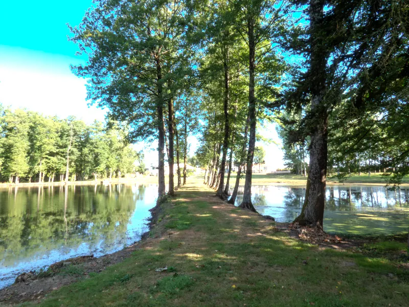 Terrain de 13 512 m² avec étangs, prairie et forêt à Nieul-le-Dolent 