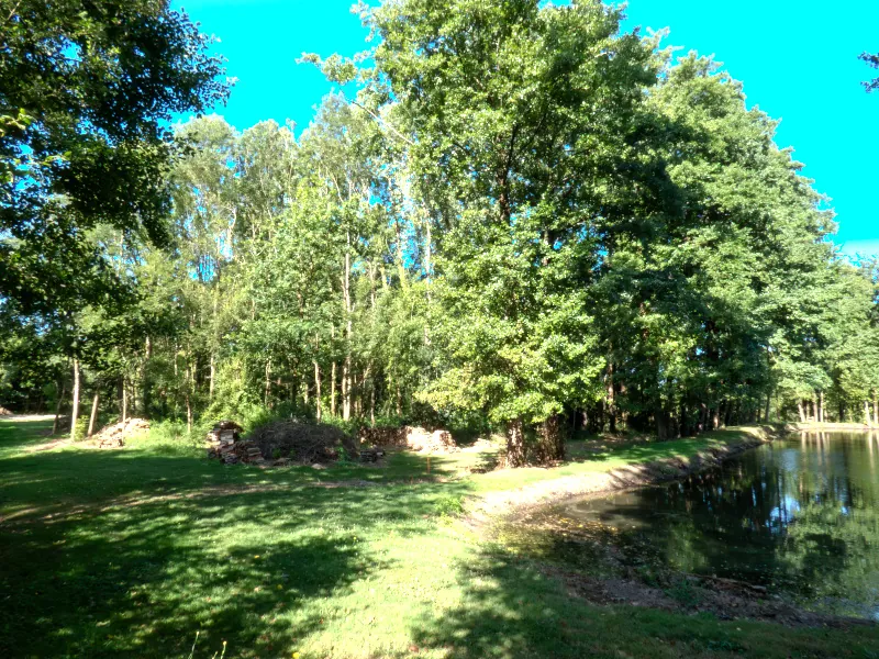 Terrain de 13 512 m² avec étangs, prairie et forêt à Nieul-le-Dolent