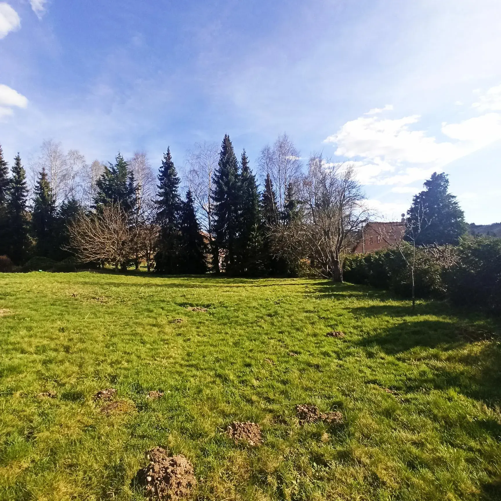 Terrain constructible à Tendon avec vue dégagée - Environnement paisible et ensoleillé 