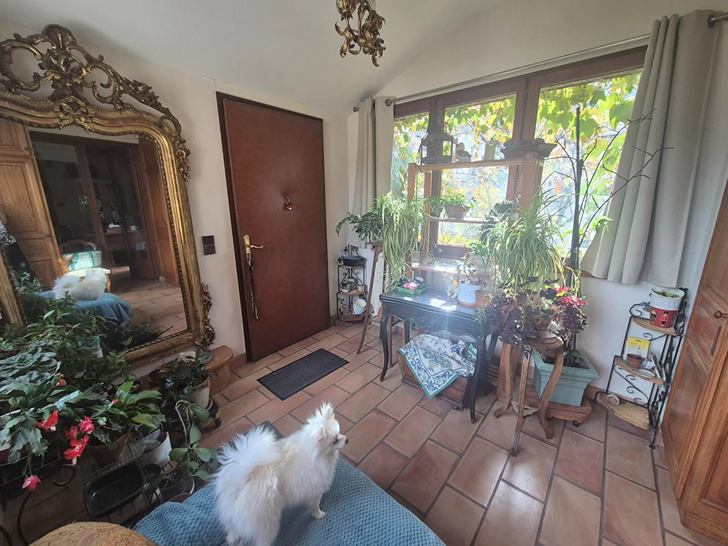 Maison en viager à Villar Saint Pancrace - Opportunité d’investissement rare 