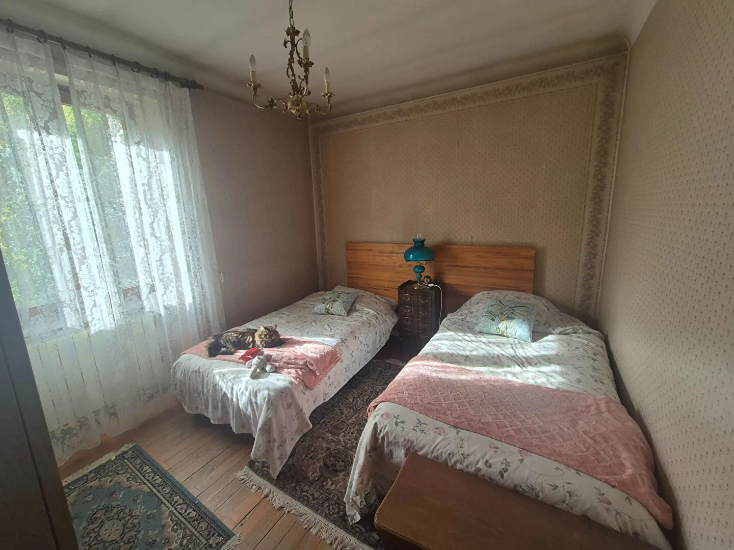 Maison en viager à Villar Saint Pancrace - Opportunité d’investissement rare 