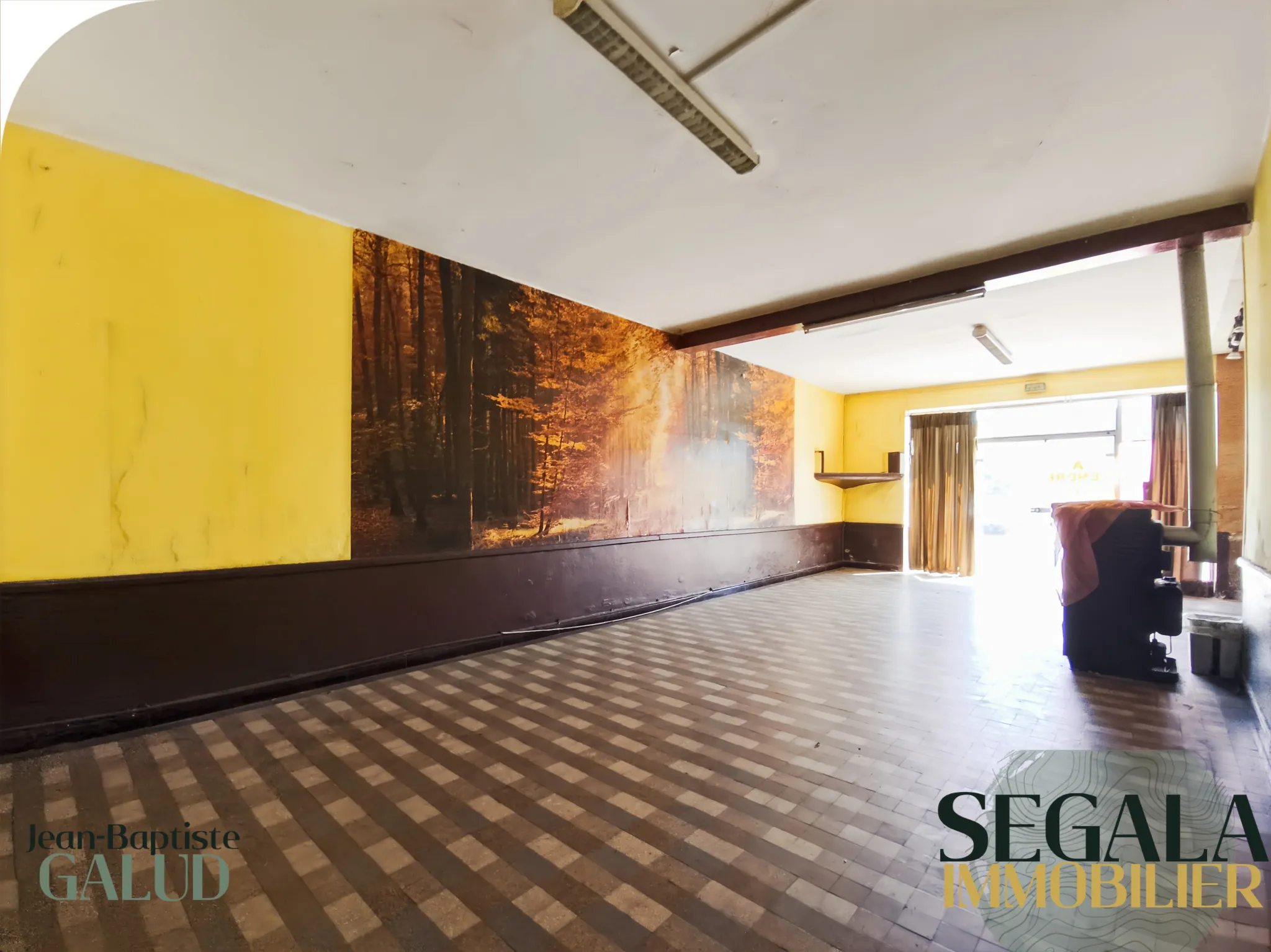 Immeuble de 220 m² à vendre à Blaye Les Mines, idéal pour investissement ou résidence