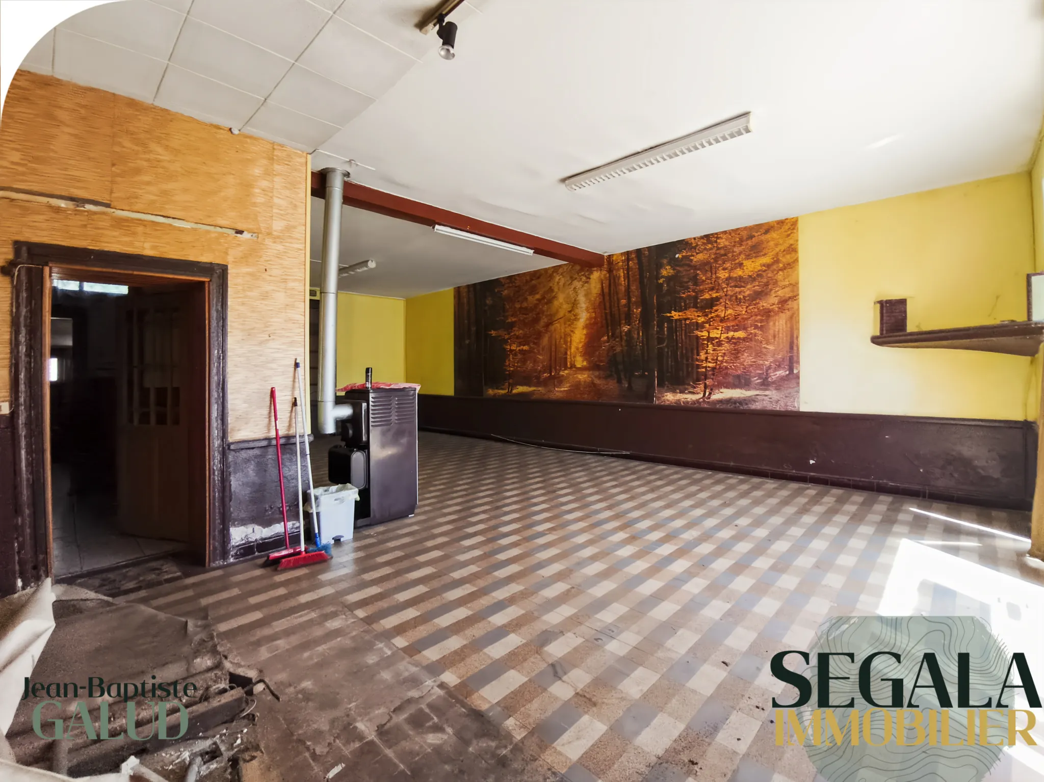 Immeuble de 220 m² à vendre à Blaye Les Mines, idéal pour investissement ou résidence 