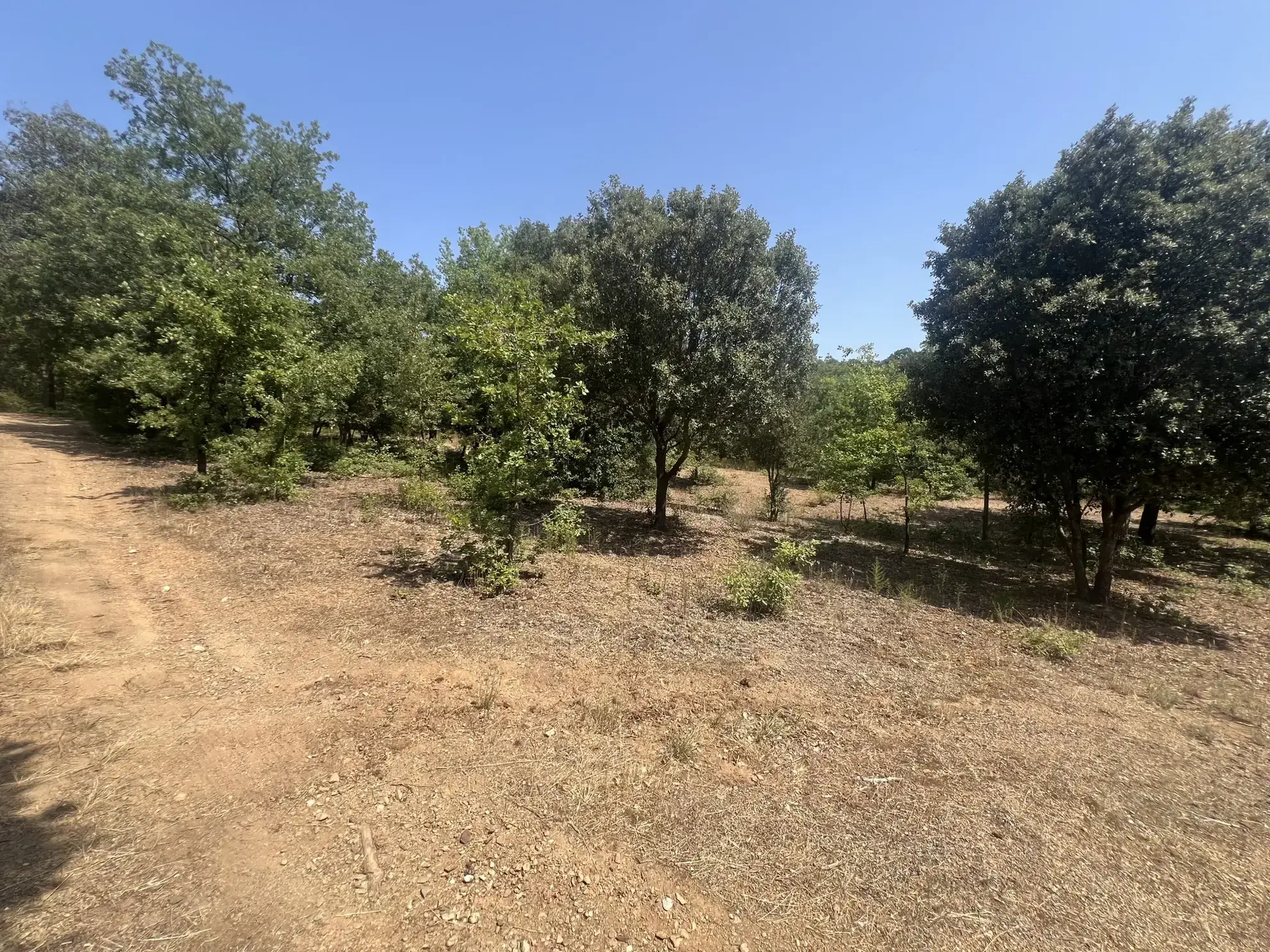 À vendre appartement T3 de 65 m² avec terrasse et garage à Toulouse 