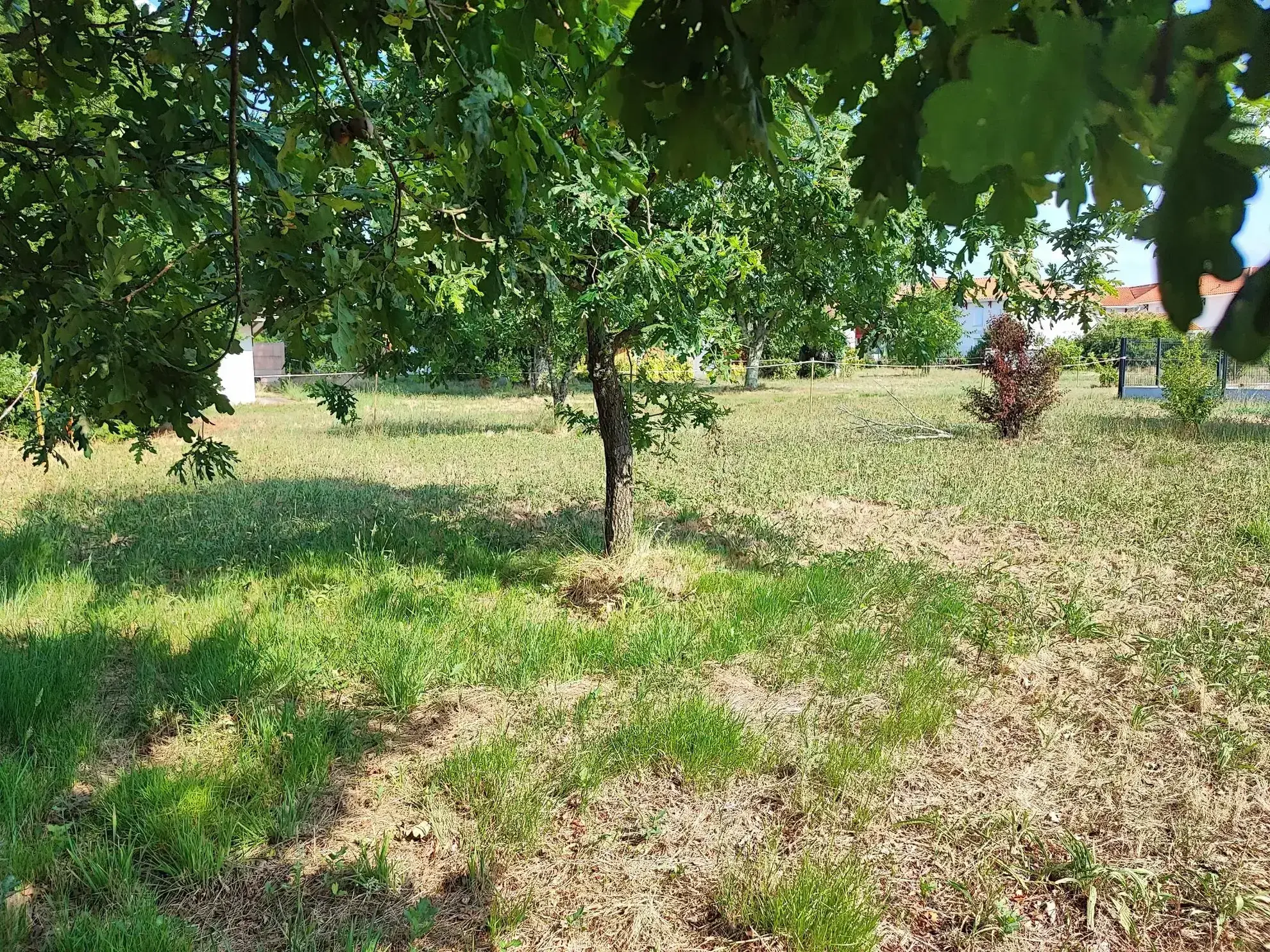 Terrain constructible à Biscarrosse de 532 m² dans les Landes - Libre de constructeur