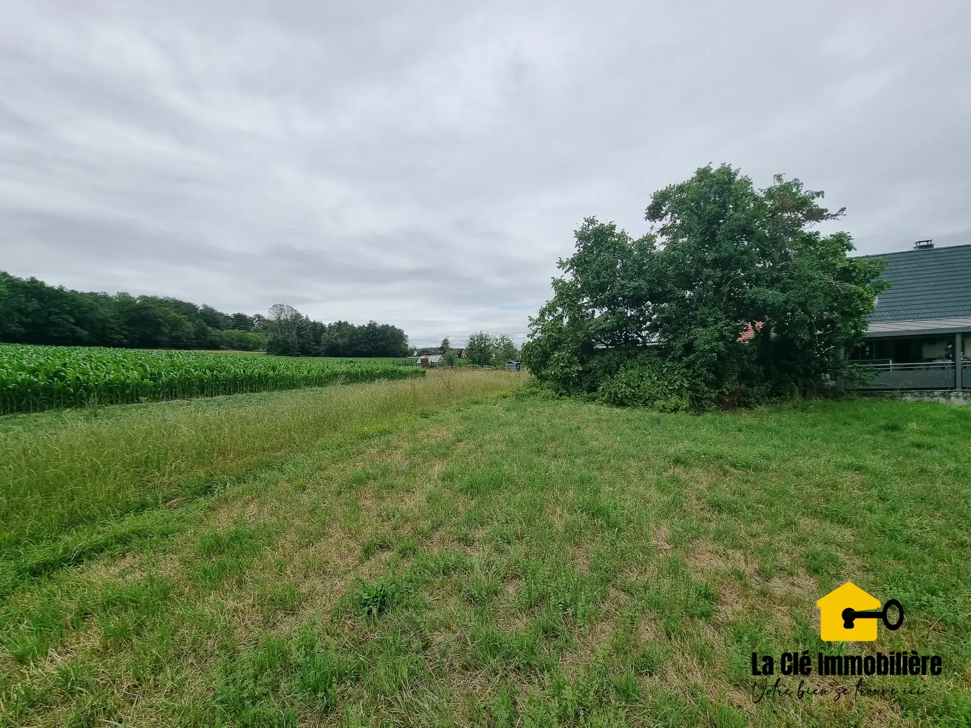 Terrain constructible viabilisé à HIRSINGUE, Sundgau, idéal pour votre projet de maison 