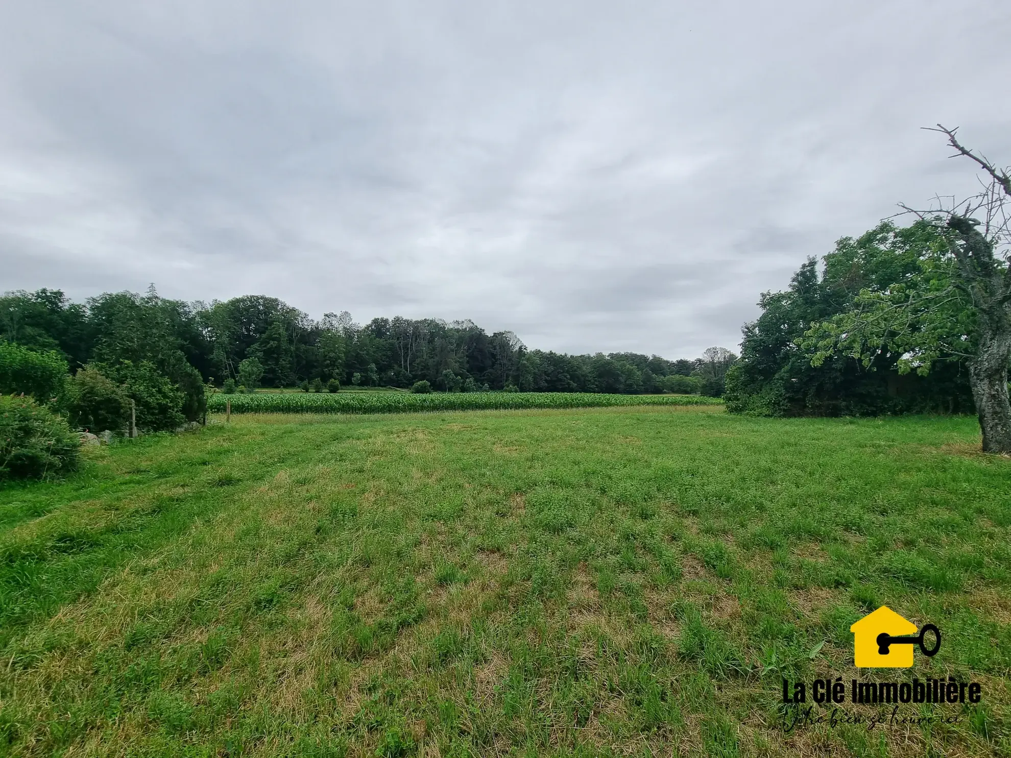 Terrain constructible viabilisé à HIRSINGUE, Sundgau, idéal pour votre projet de maison 