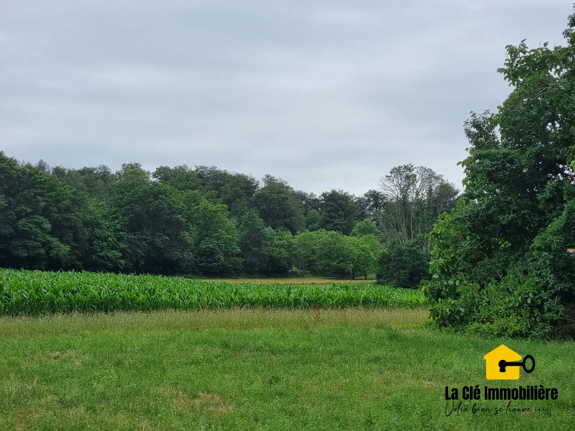 Terrain constructible viabilisé à HIRSINGUE, Sundgau, idéal pour votre projet de maison 