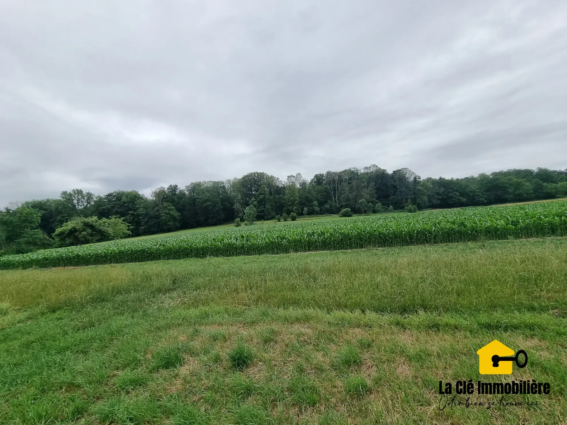 Terrain constructible viabilisé à HIRSINGUE, Sundgau, idéal pour votre projet de maison 