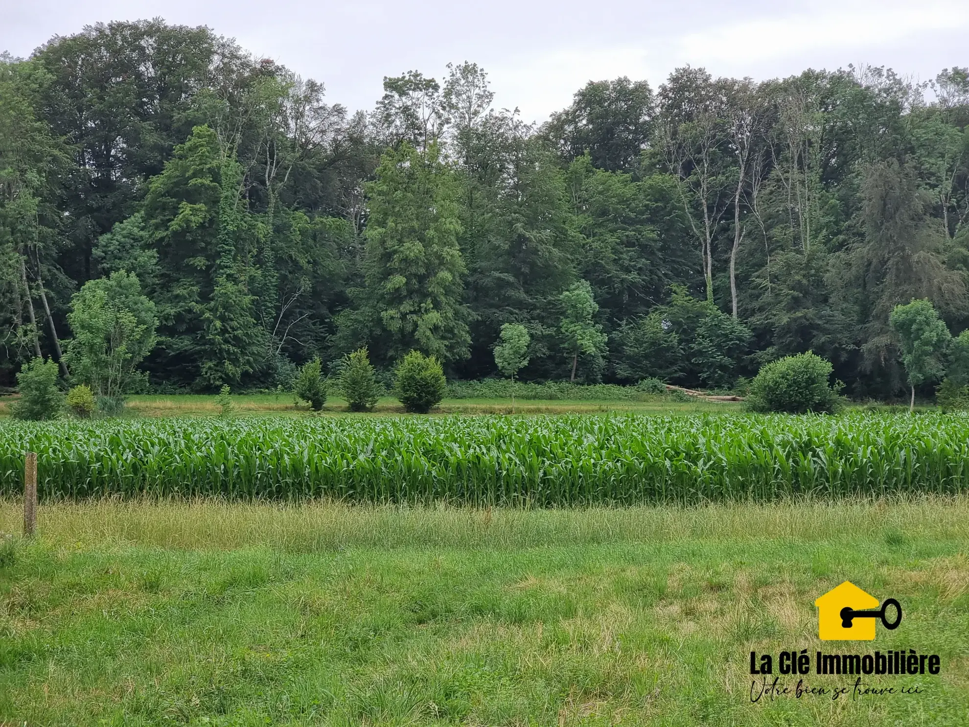 Terrain constructible viabilisé à HIRSINGUE, Sundgau, idéal pour votre projet de maison 