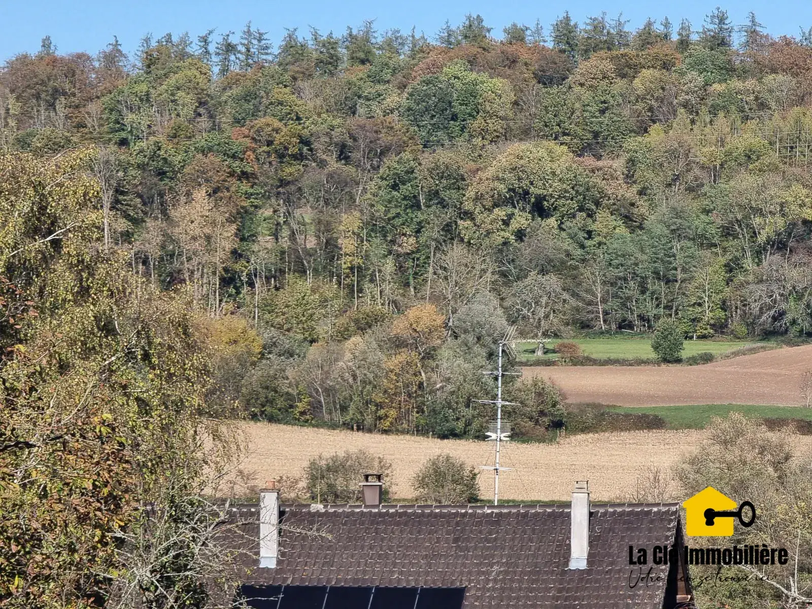 Terrain constructible viabilisé à HIRSINGUE, Sundgau, idéal pour votre projet de maison 