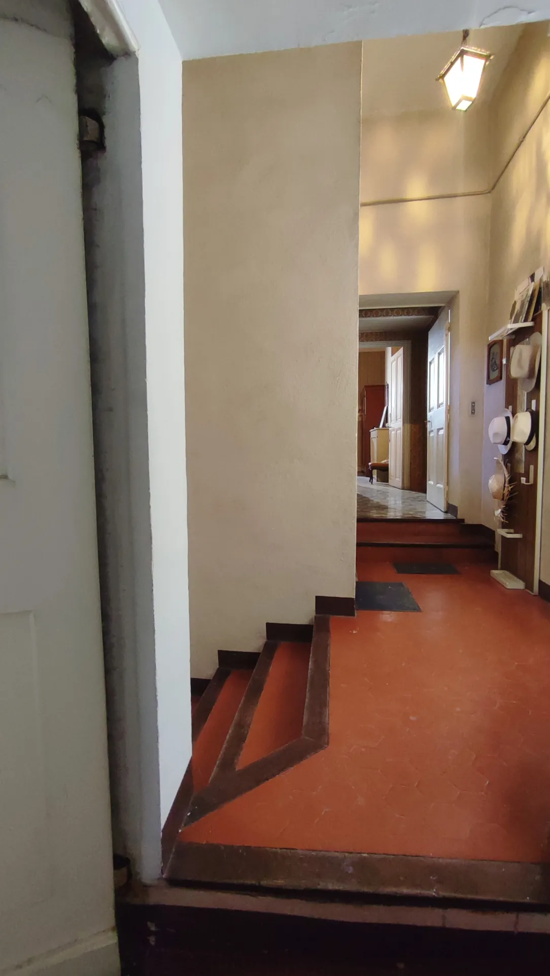 Belle maison de maître à rénover à Beaucaire - Opportunité unique 