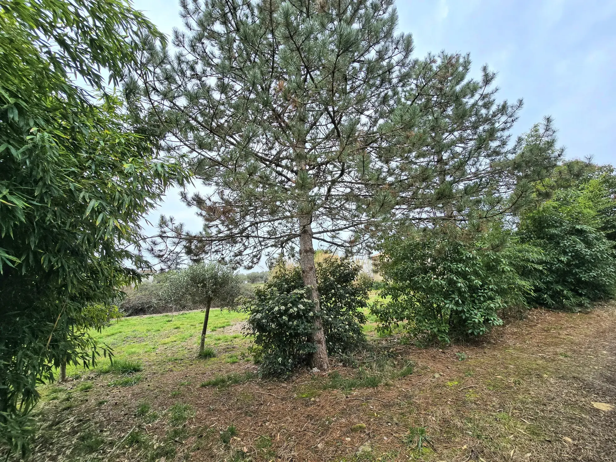 Terrain constructible de 500 m² à Ales - Emplacement idéal et prêt à bâtir 