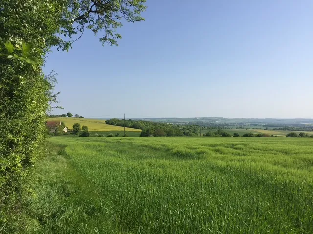 Terrain constructible arboré de 1172m² à Bouhy avec certificat d'urbanisme 