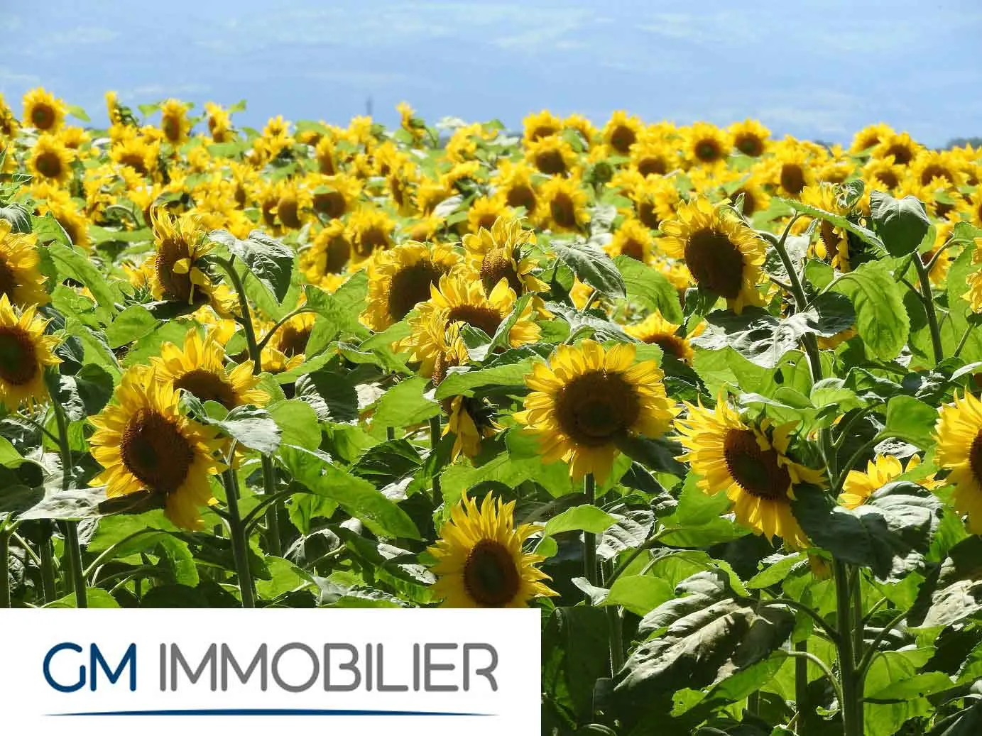 Terrain à Bénesse-Maremne à vendre dans un lotissement viabilisé - Construction libre