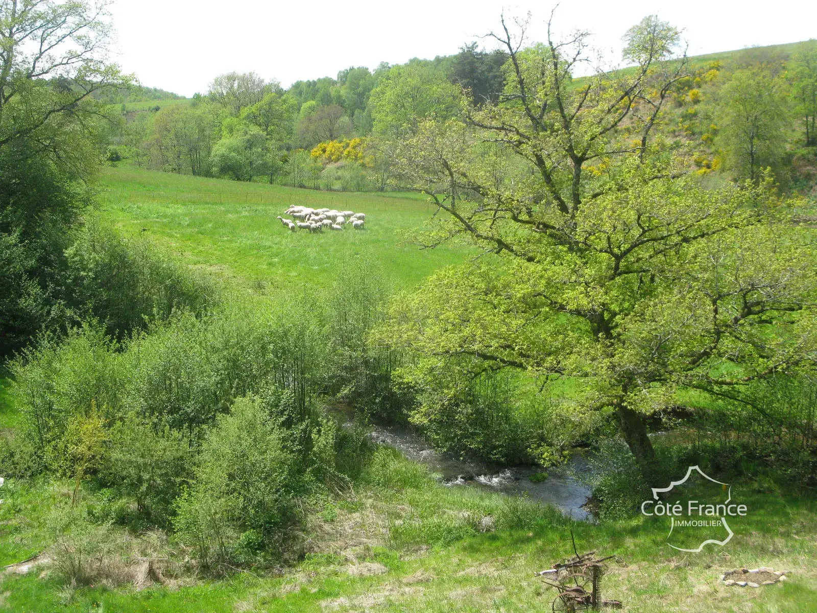 Charmante maison en pierre avec terrain de 4,75 hectares à Pleaux 