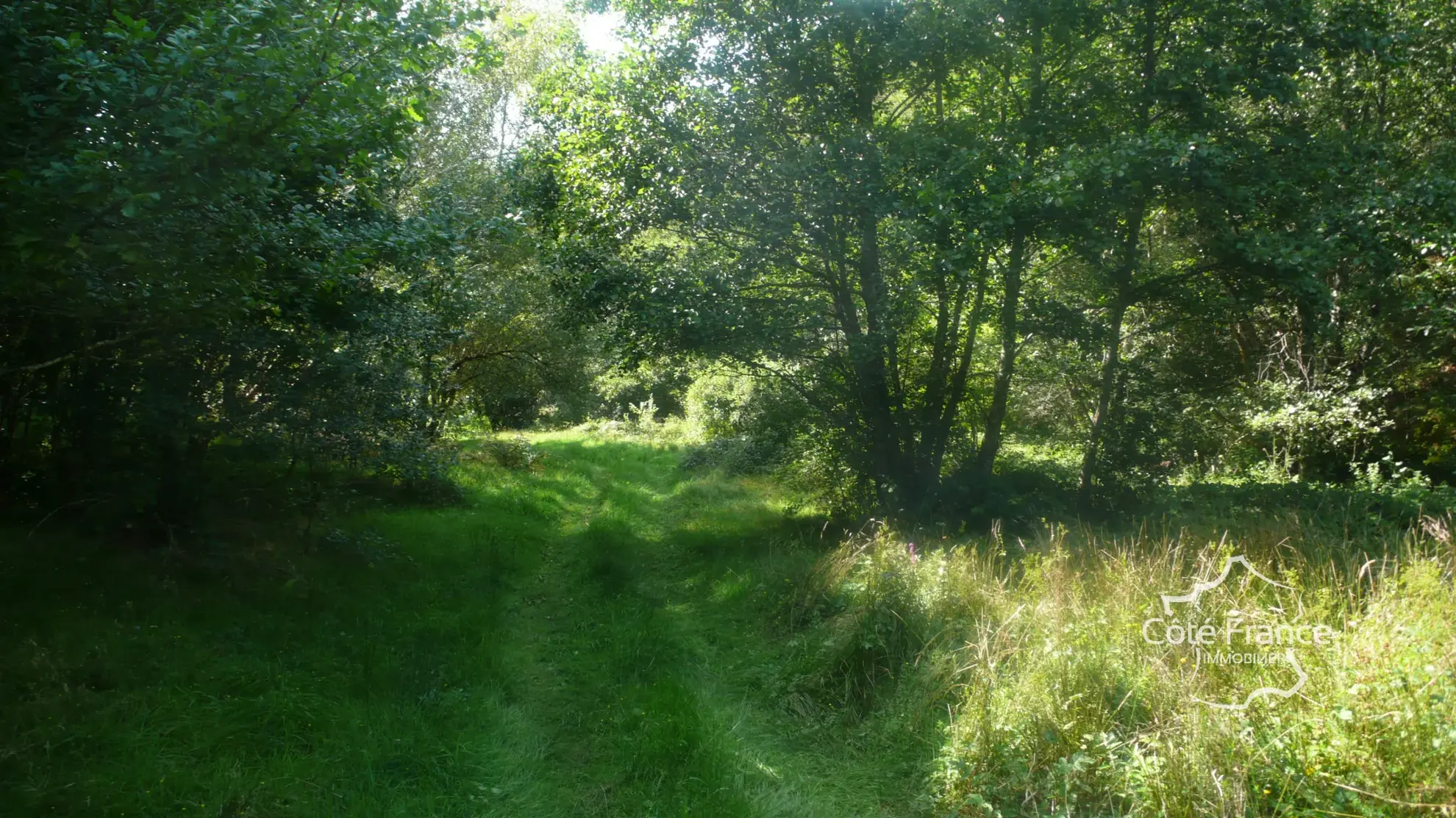 Charmante maison en pierre avec terrain de 4,75 hectares à Pleaux 