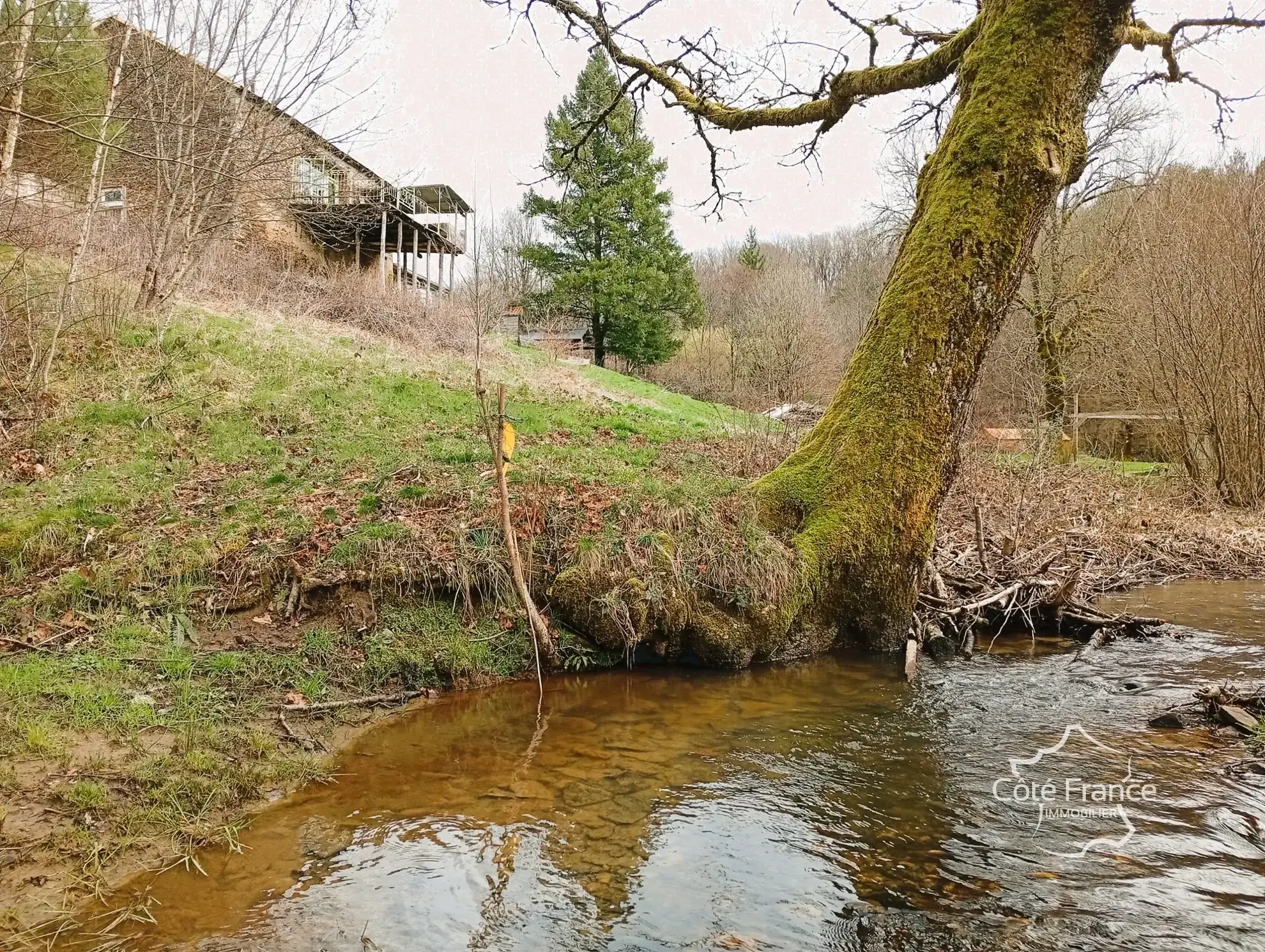 Charmante maison en pierre avec terrain de 4,75 hectares à Pleaux 