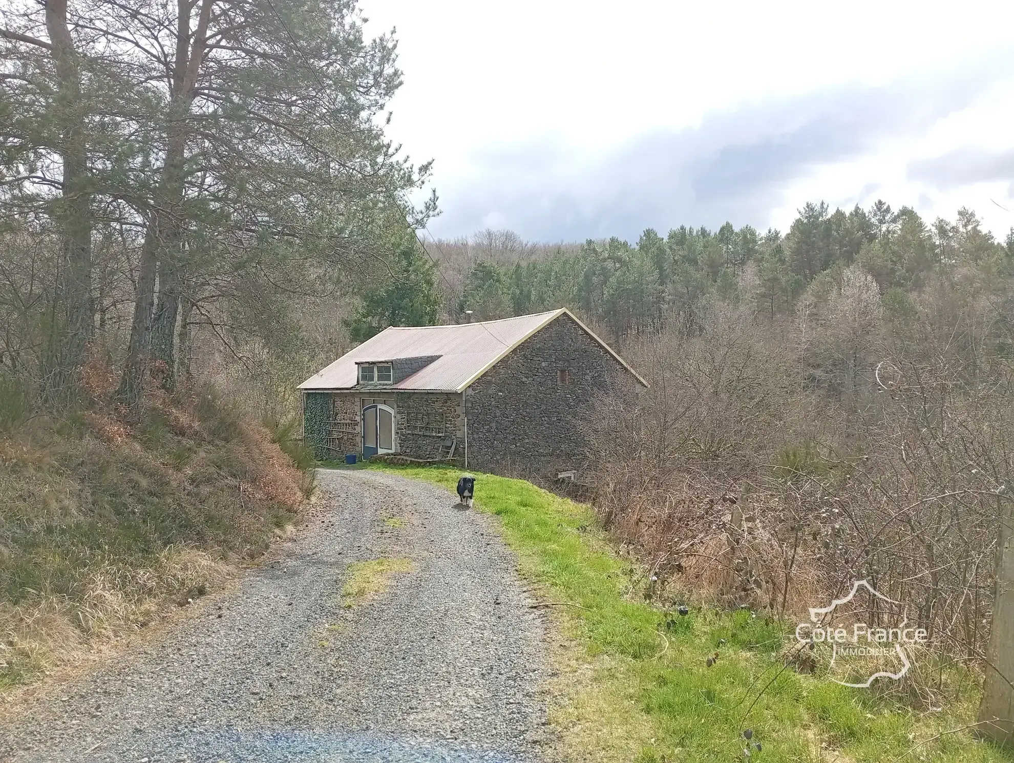 Charmante maison en pierre avec terrain de 4,75 hectares à Pleaux 