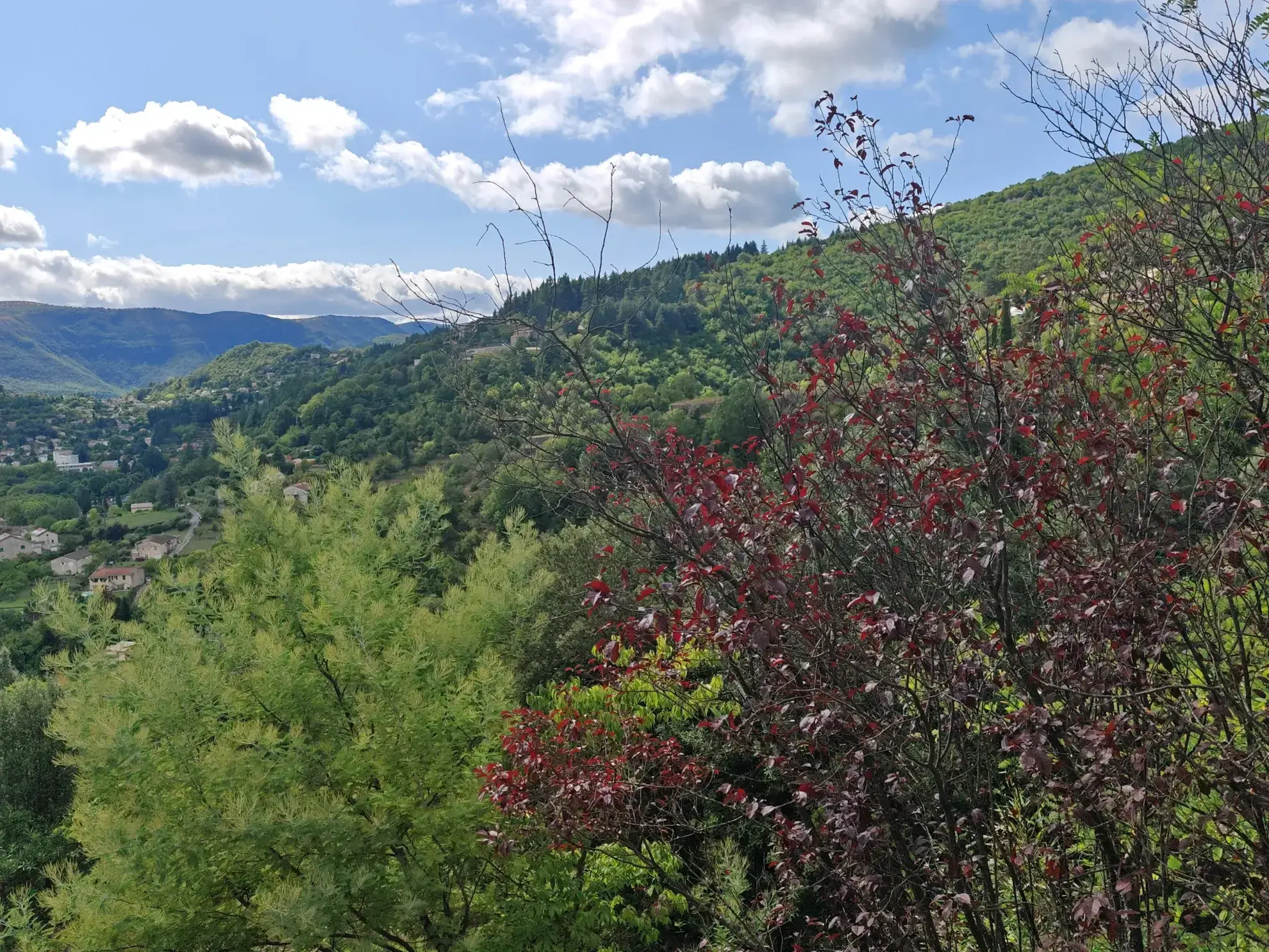 Villa F6 avec studio sur terrain arboré au Vigan – Vue panoramique et calme 