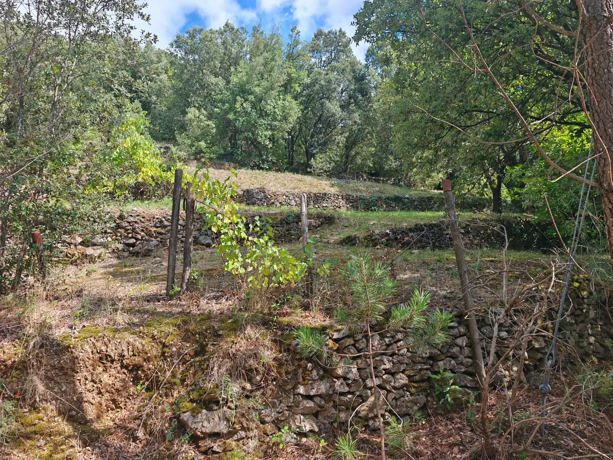 Villa F6 avec studio sur terrain arboré au Vigan – Vue panoramique et calme 