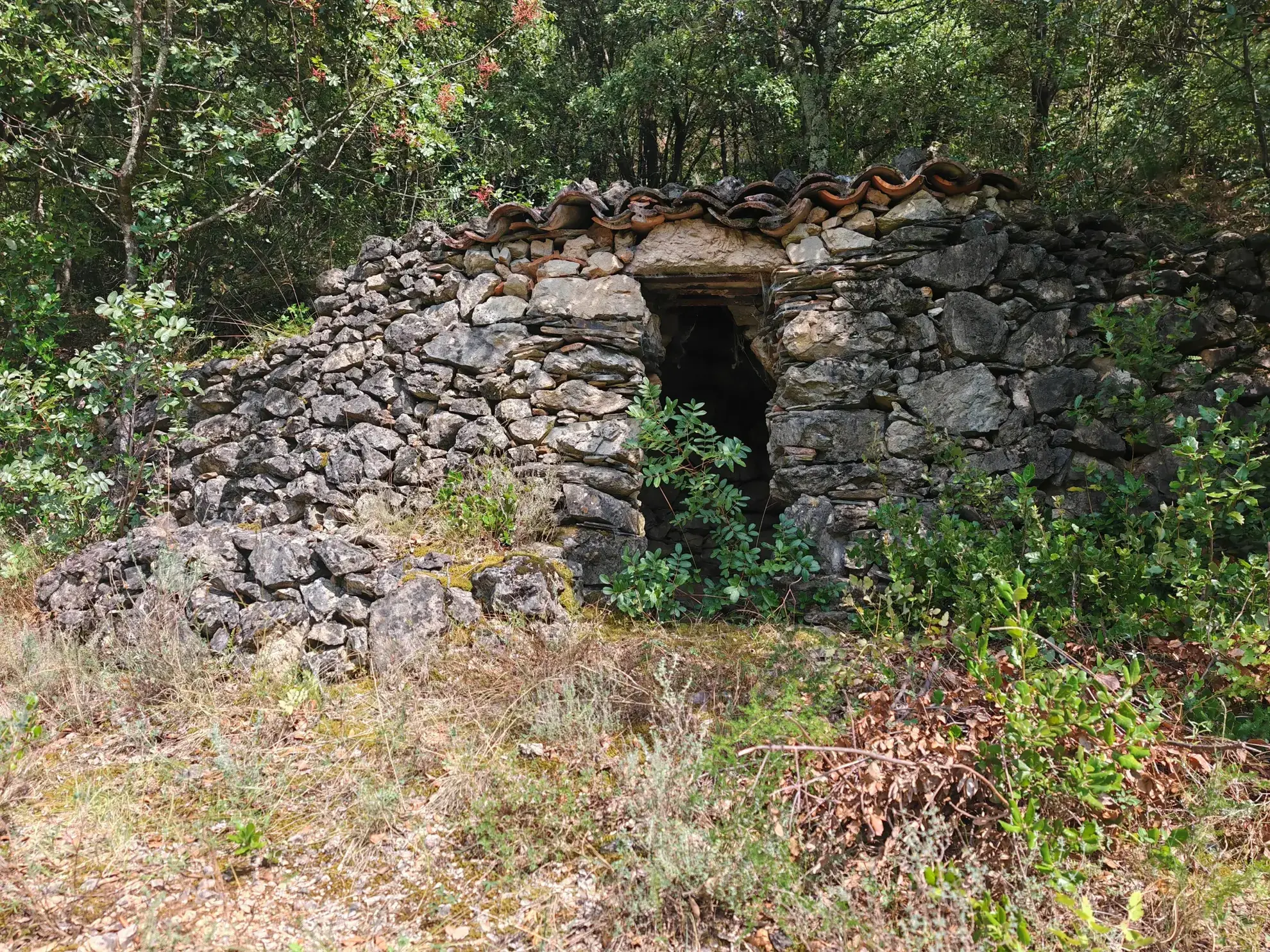 Villa F6 avec studio sur terrain arboré au Vigan – Vue panoramique et calme 
