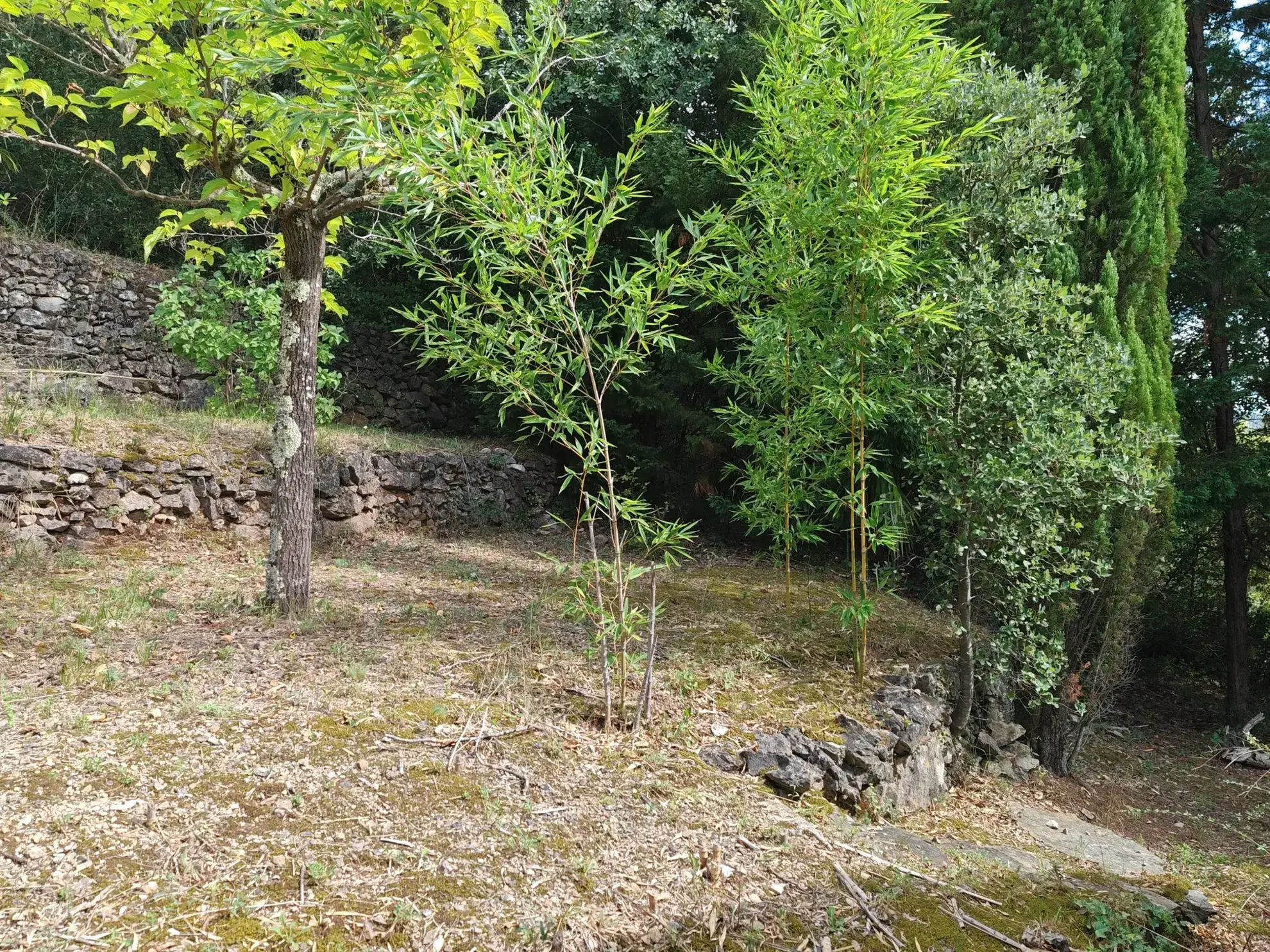 Villa F6 avec studio sur terrain arboré au Vigan – Vue panoramique et calme 