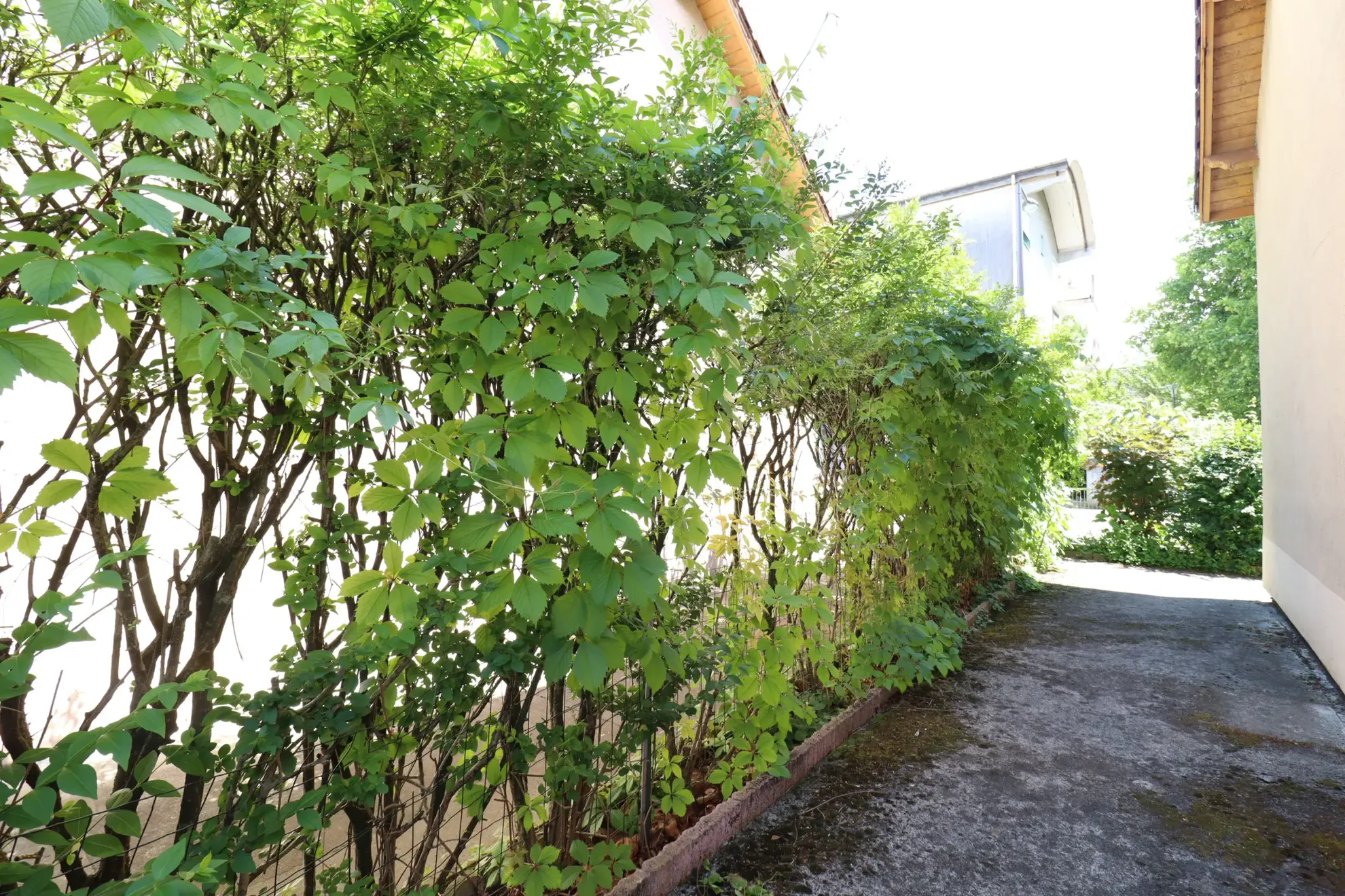Maison mitoyenne avec jardin à Grenoble – 3 chambres, secteur dynamique 