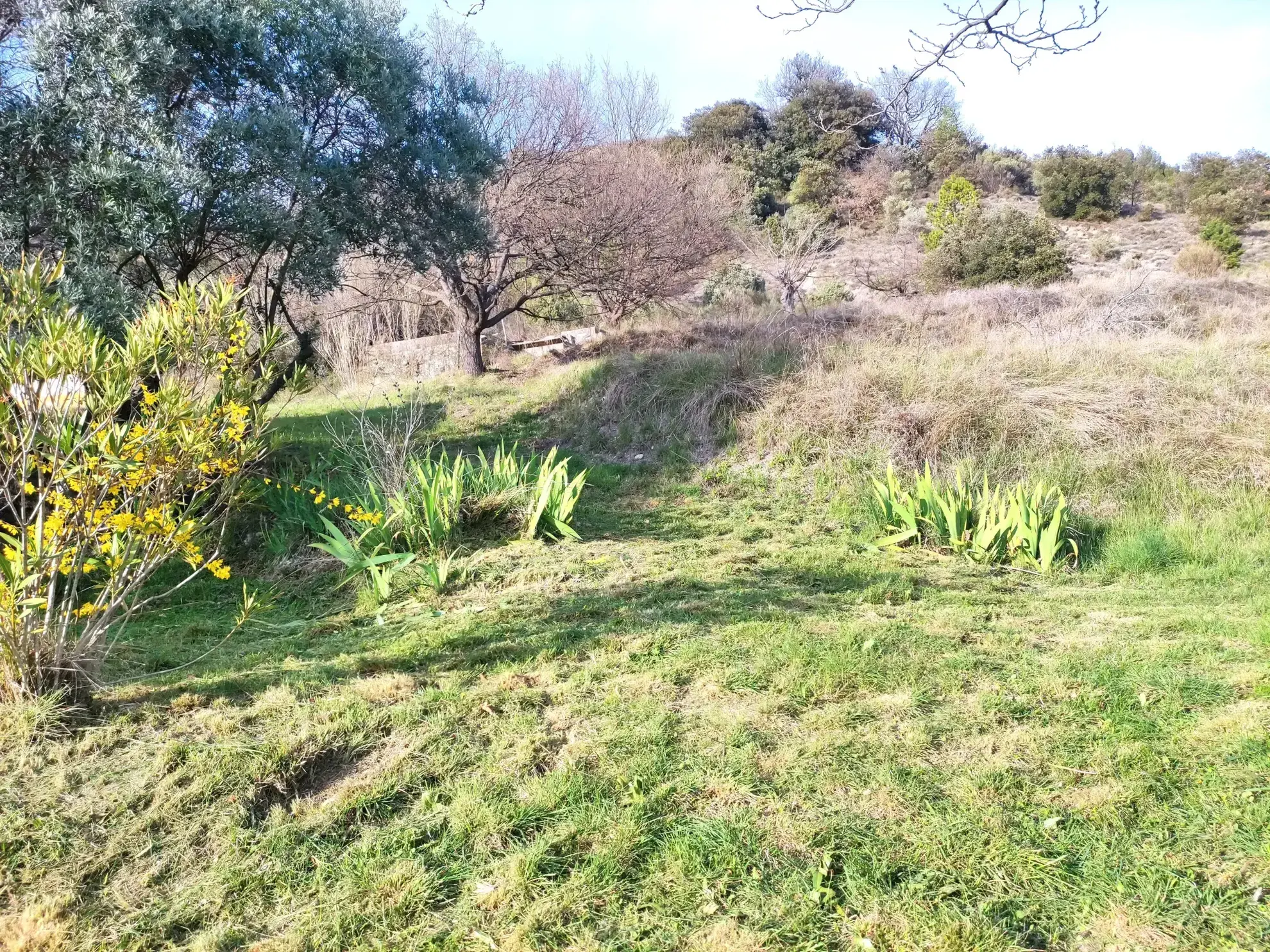Corps de ferme en Provence à rénover avec vue panoramique à Volonne 