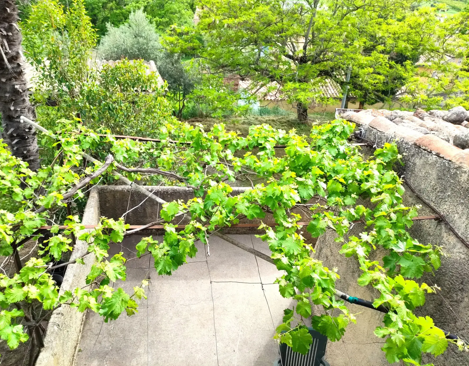 Corps de ferme en Provence à rénover avec vue panoramique à Volonne 