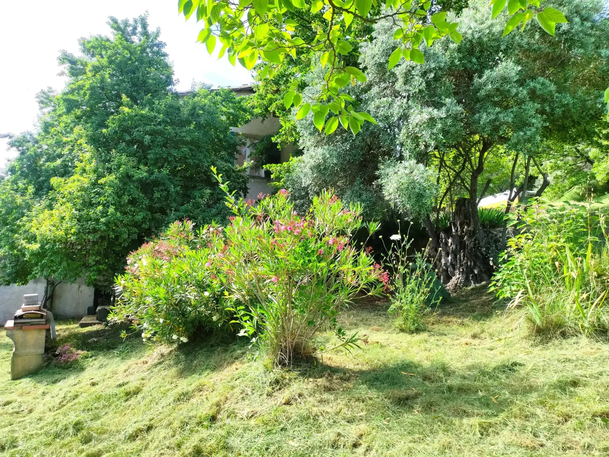 Corps de ferme en Provence à rénover avec vue panoramique à Volonne 