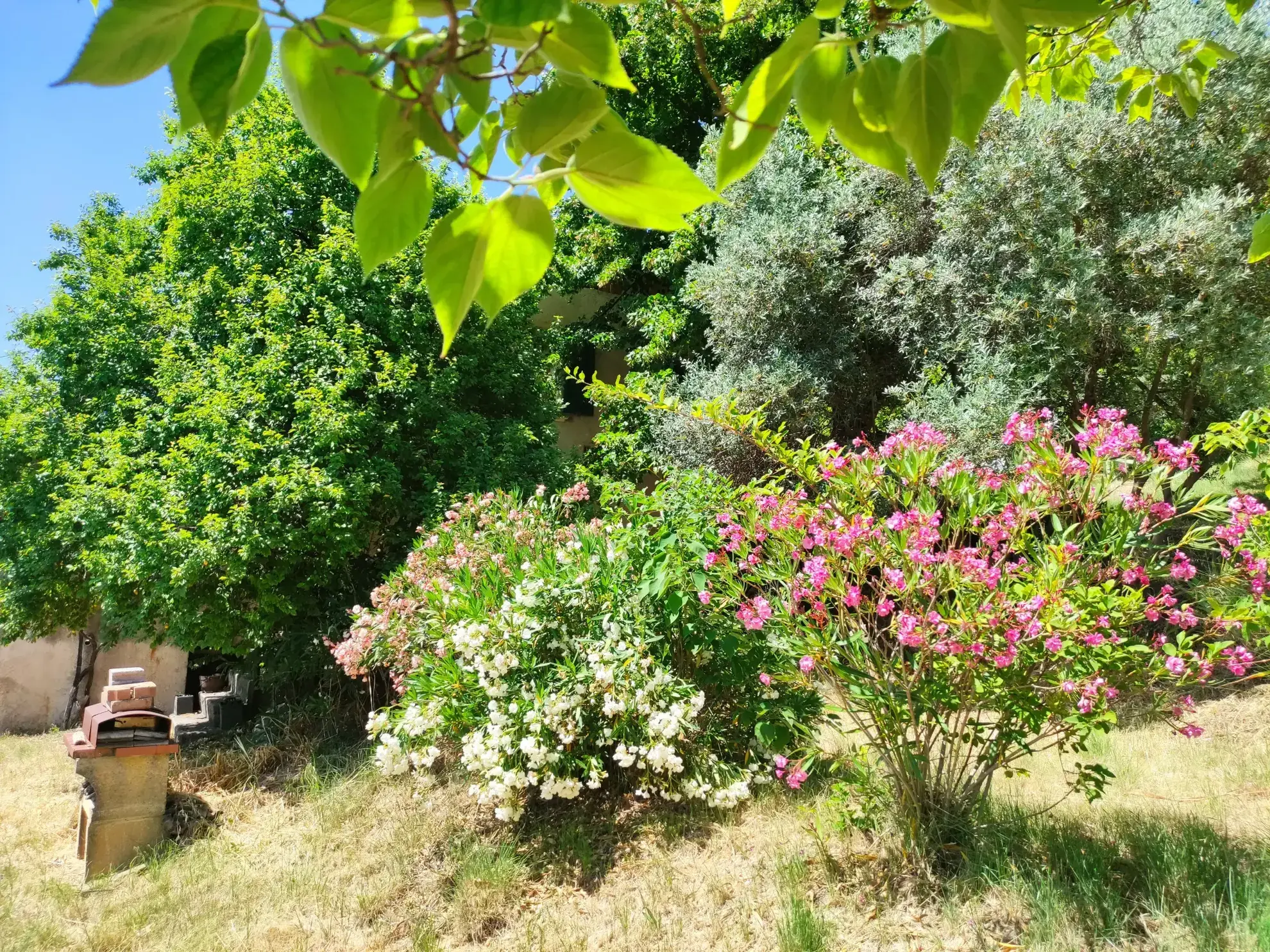 Corps de ferme en Provence à rénover avec vue panoramique à Volonne 