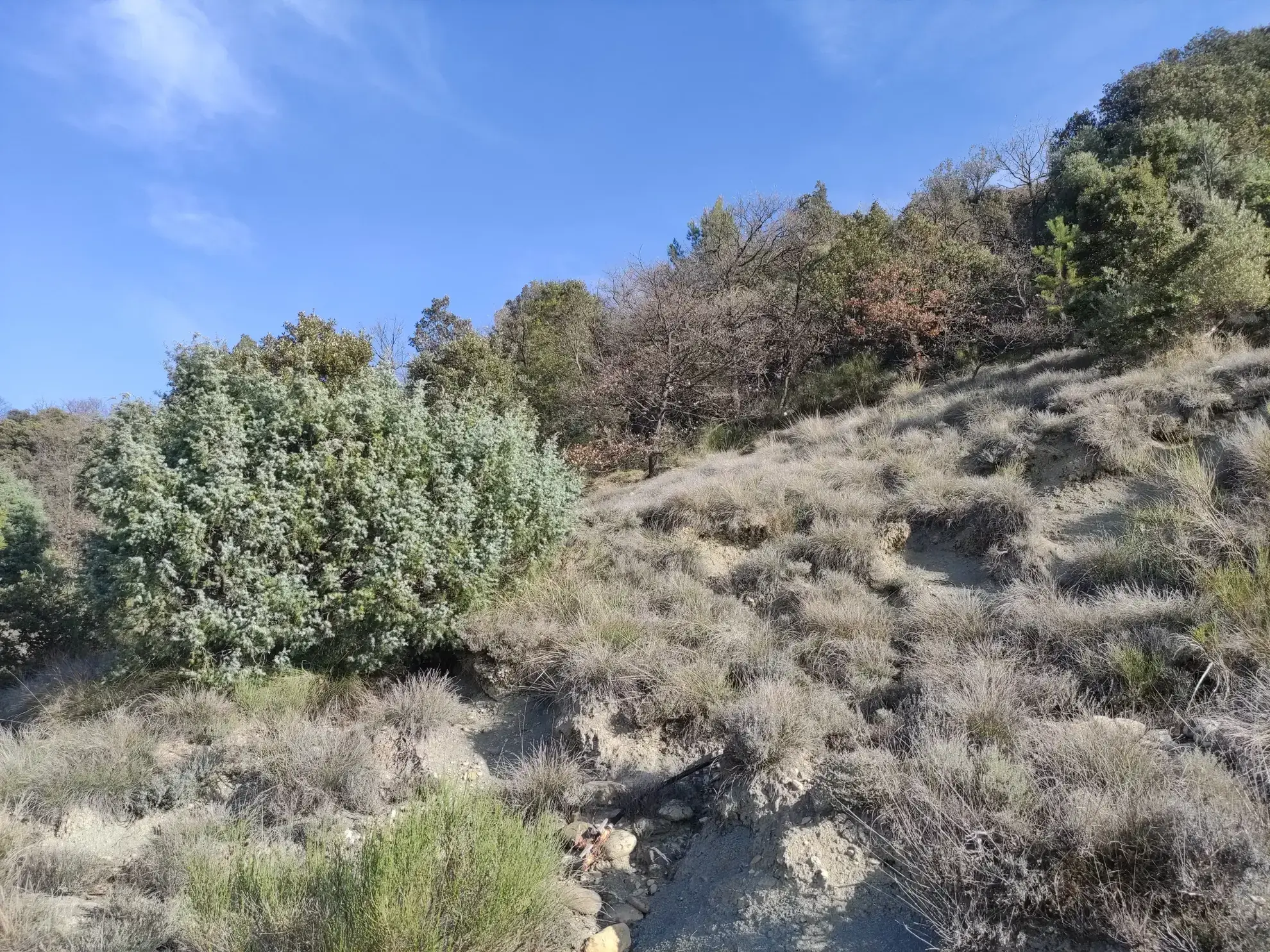 Corps de ferme en Provence à rénover avec vue panoramique à Volonne 