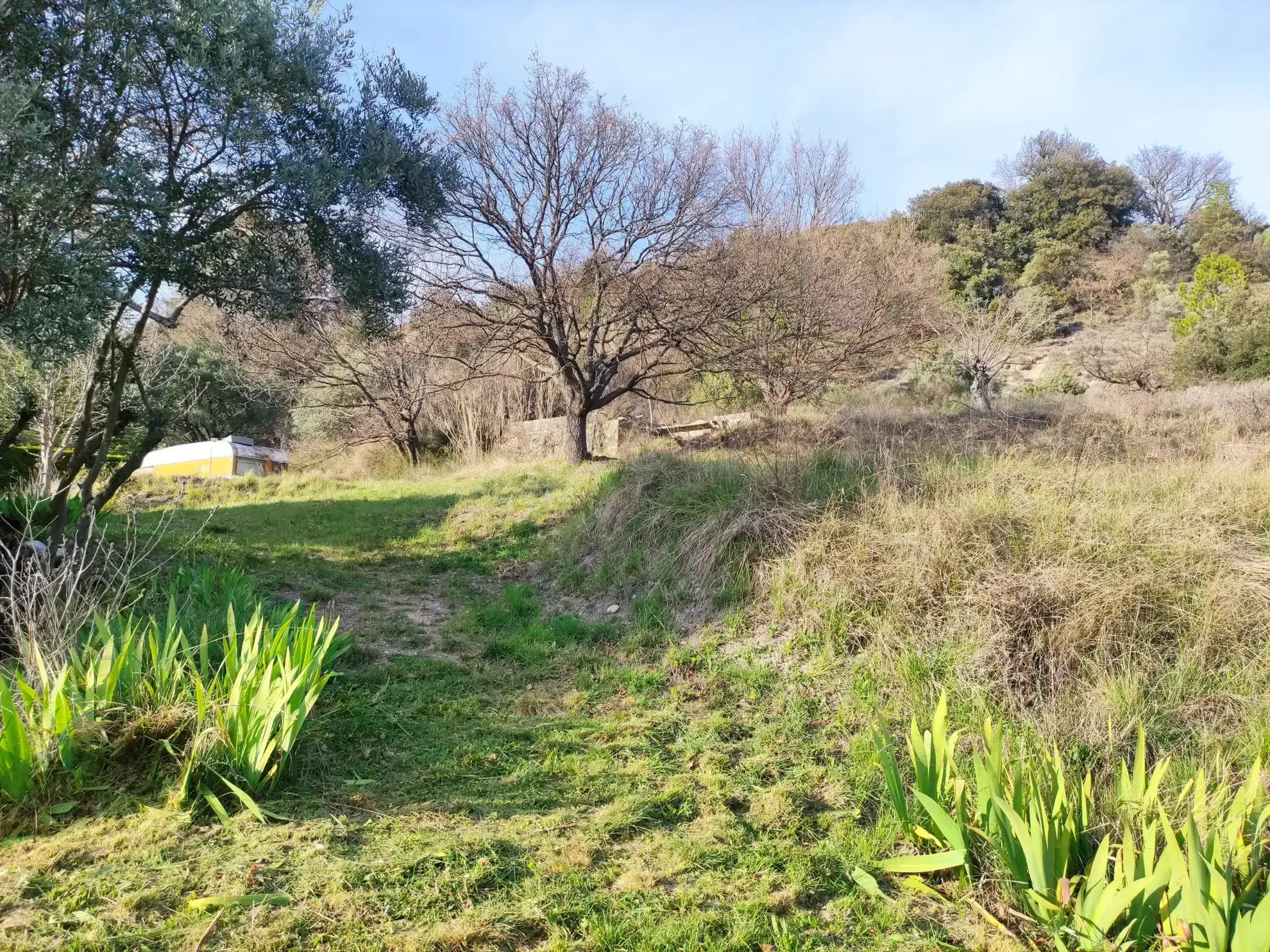 Corps de ferme en Provence à rénover avec vue panoramique à Volonne 