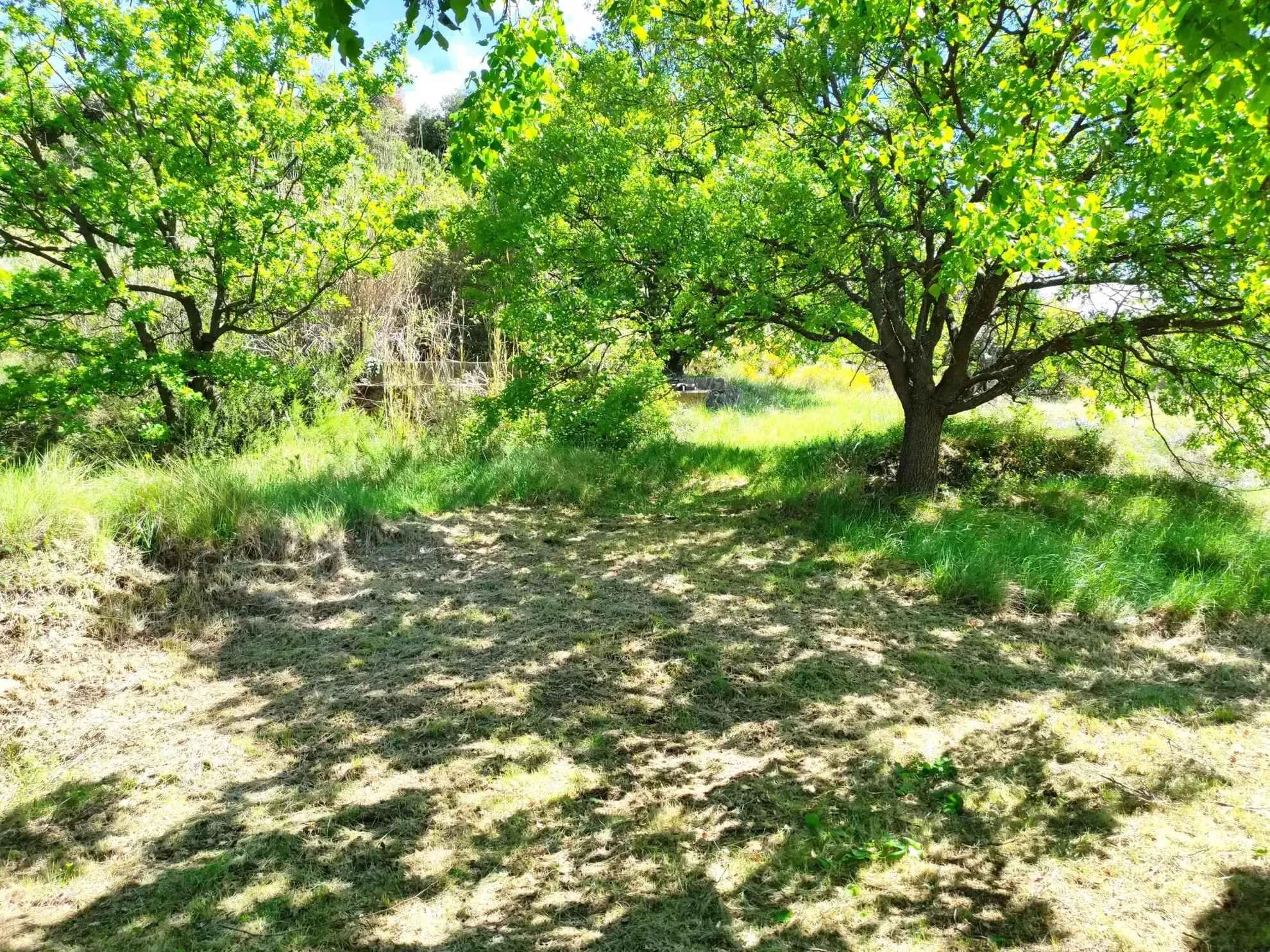 Corps de ferme en Provence à rénover avec vue panoramique à Volonne 